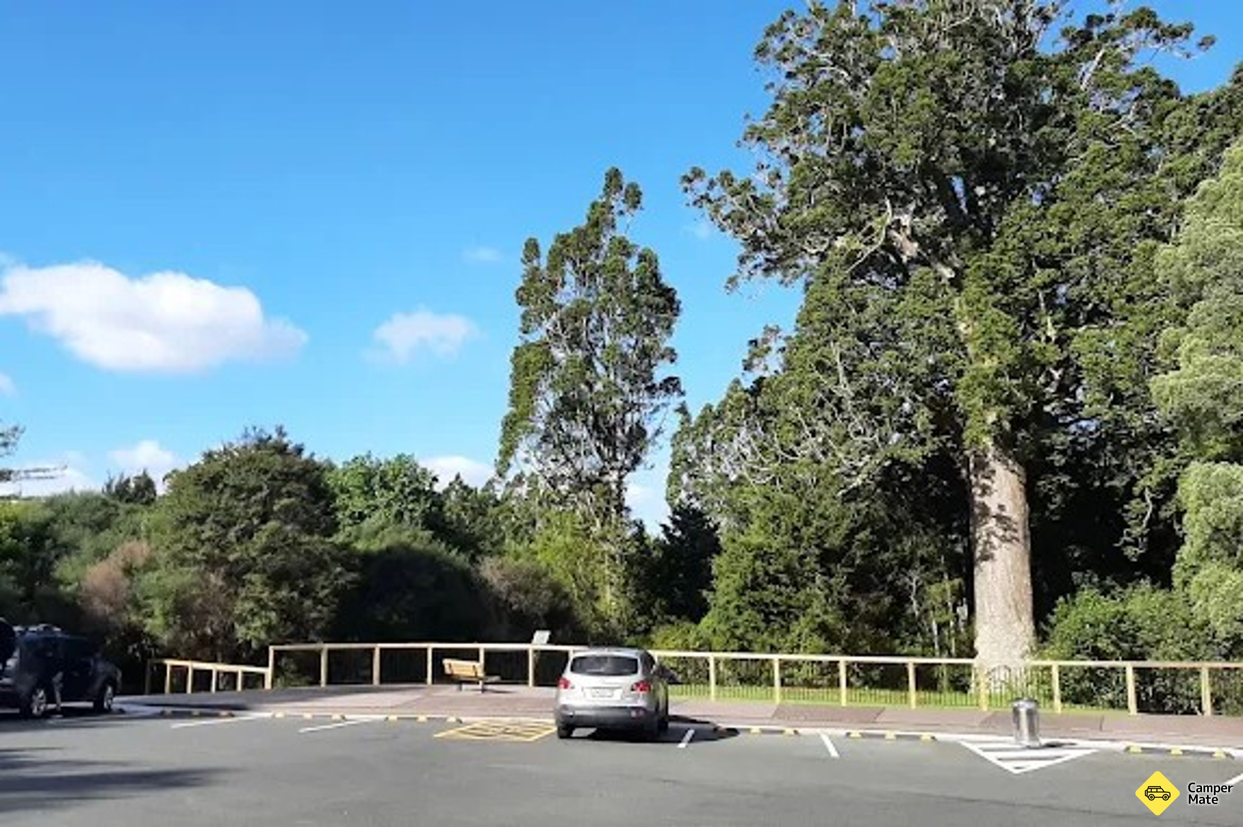 Parry Kauri Park