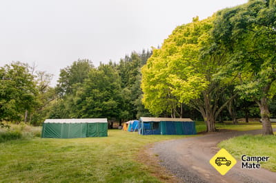 Whitecliffs Domain - CLOSED
