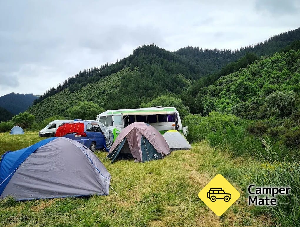 Te Moana Gorge läger 2