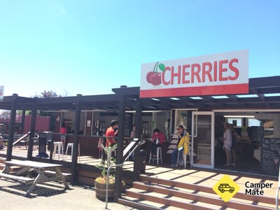 Thomas Brothers Cherry & Real Fruit Ice Cream