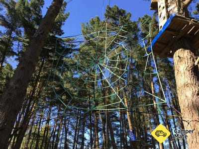 Adrenalin Forest - Christchurch