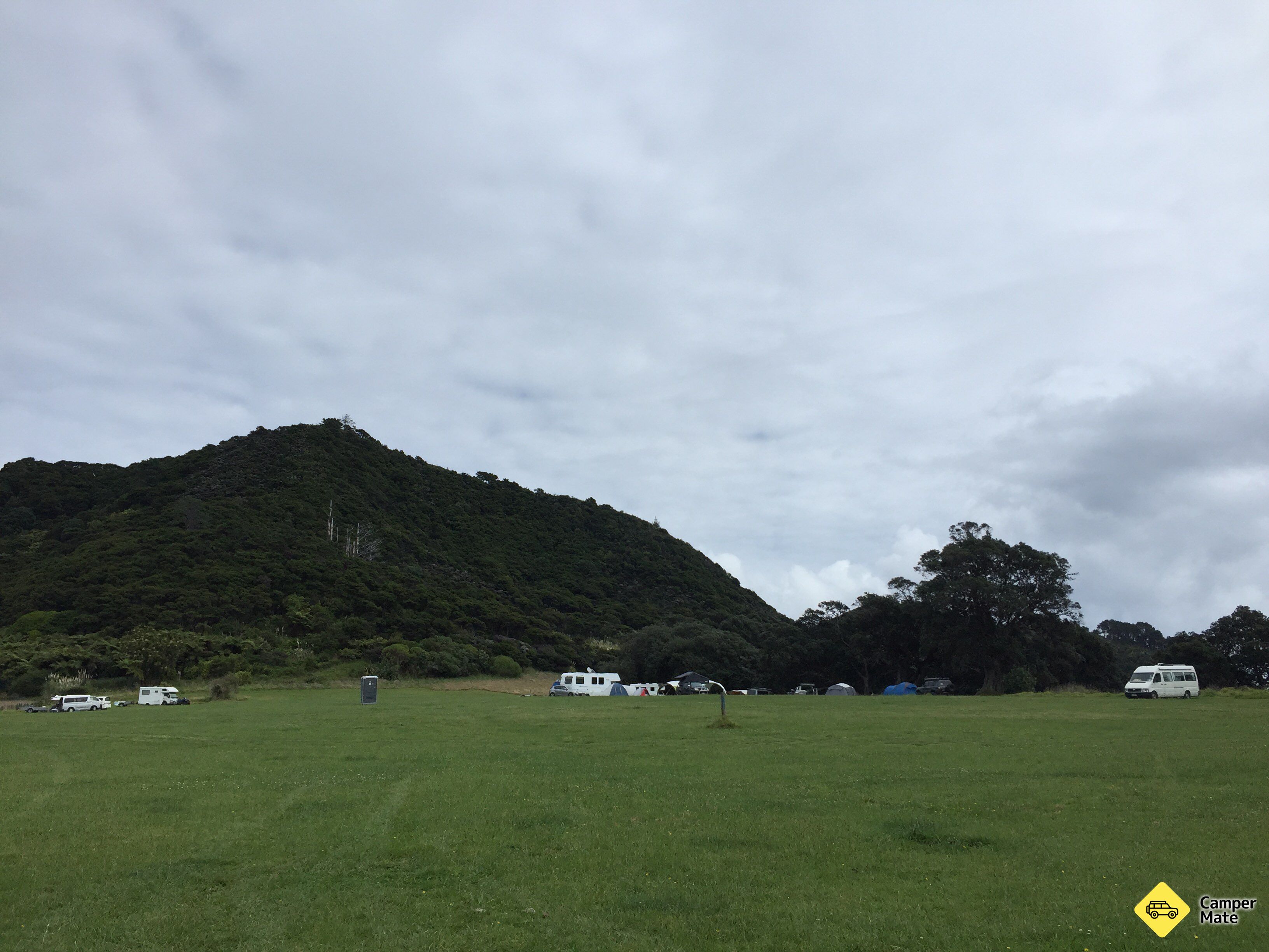 Hoani Waititi Reserve - Image 2