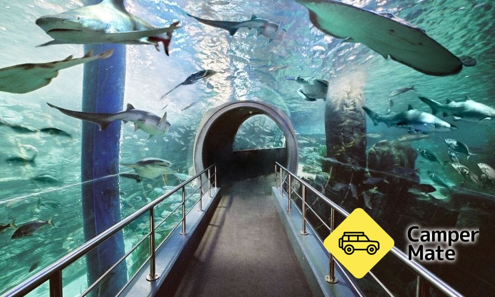 SEA LIFE Acuario de Melbourne