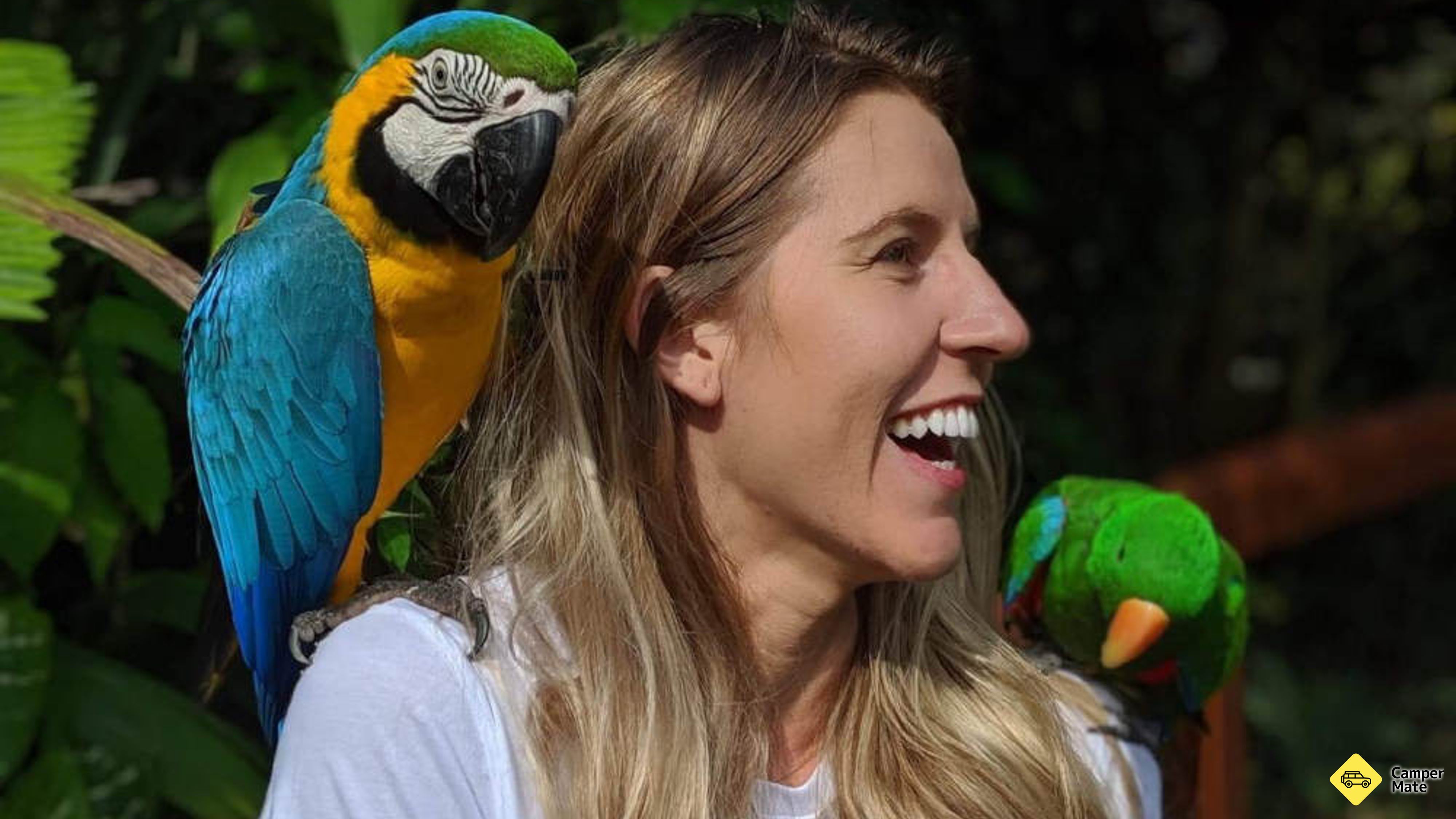 Birdworld Kuranda