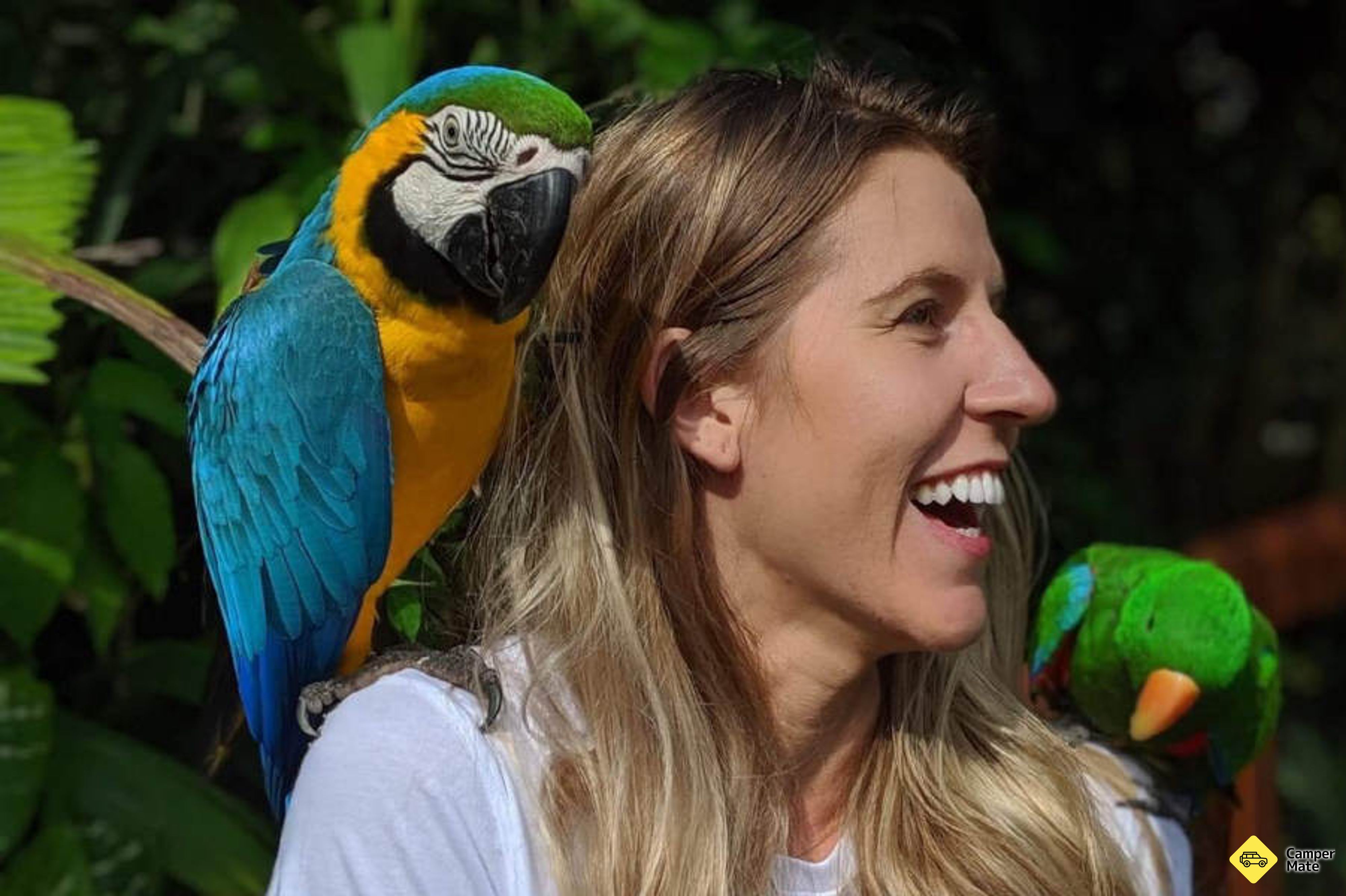 Birdworld Kuranda