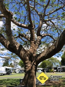 Ubytování Hervey Bay Caravan Park