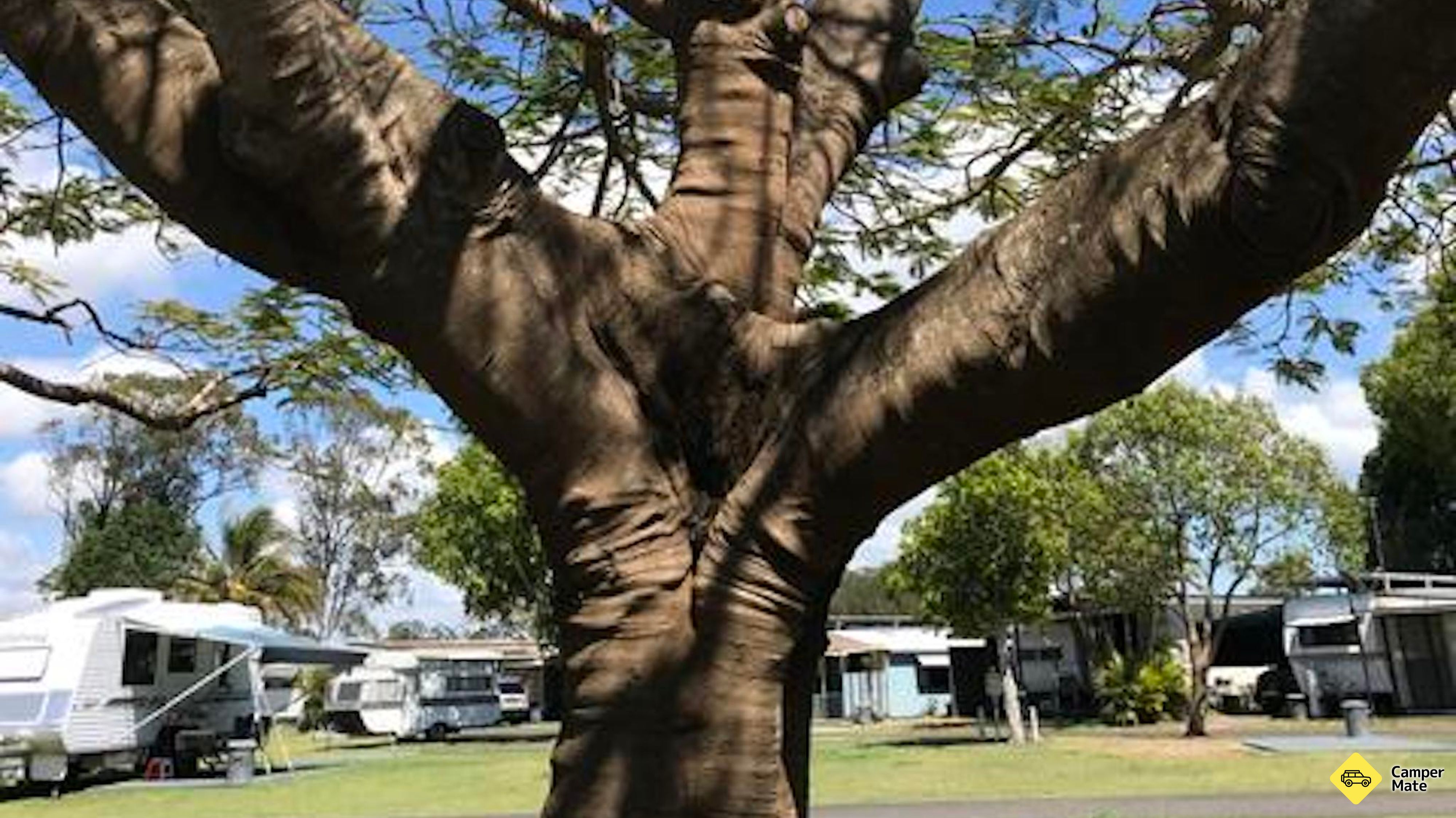 Parcul Caravan din Hervey Bay