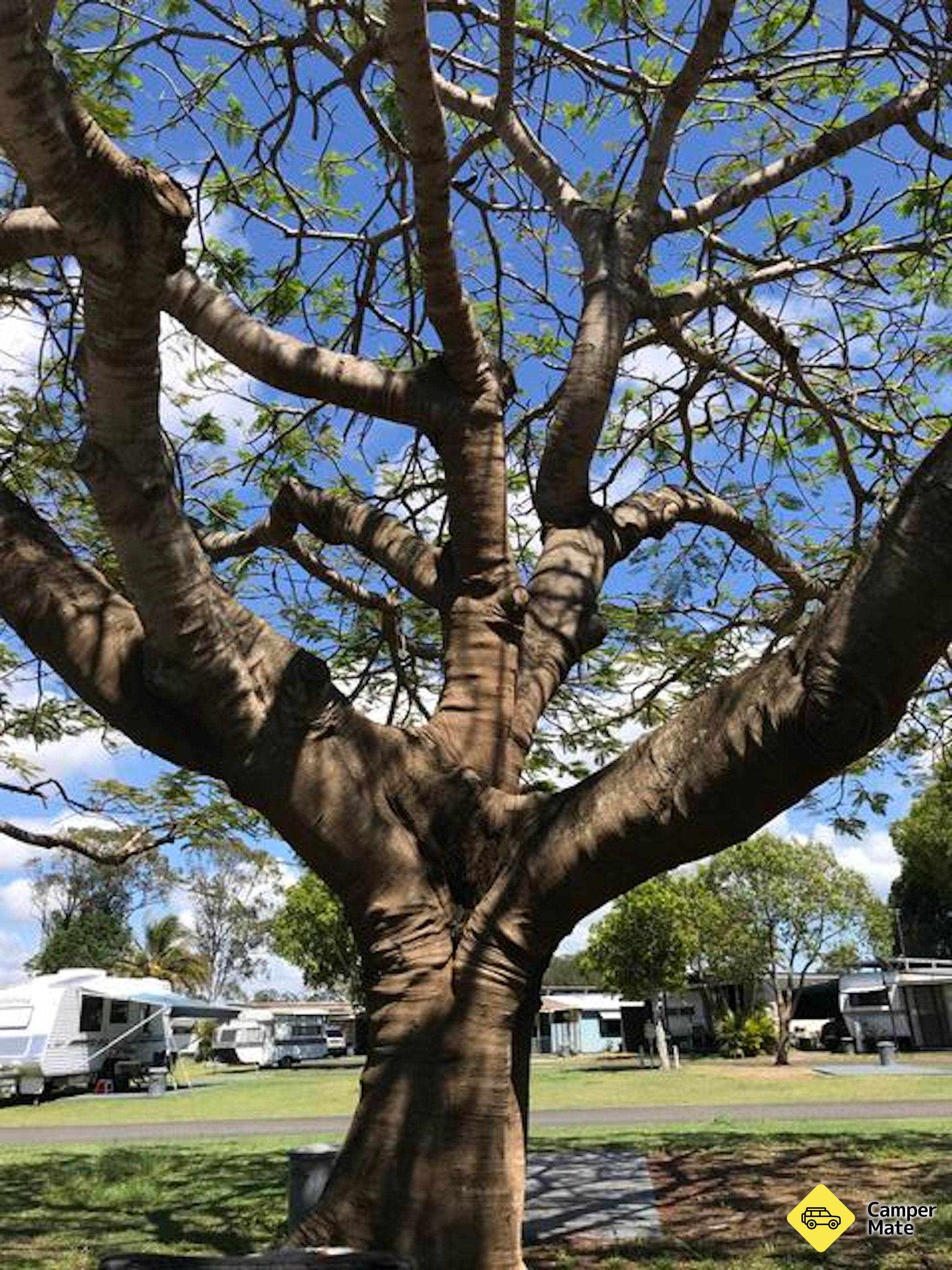 Ubytování Hervey Bay Caravan Park