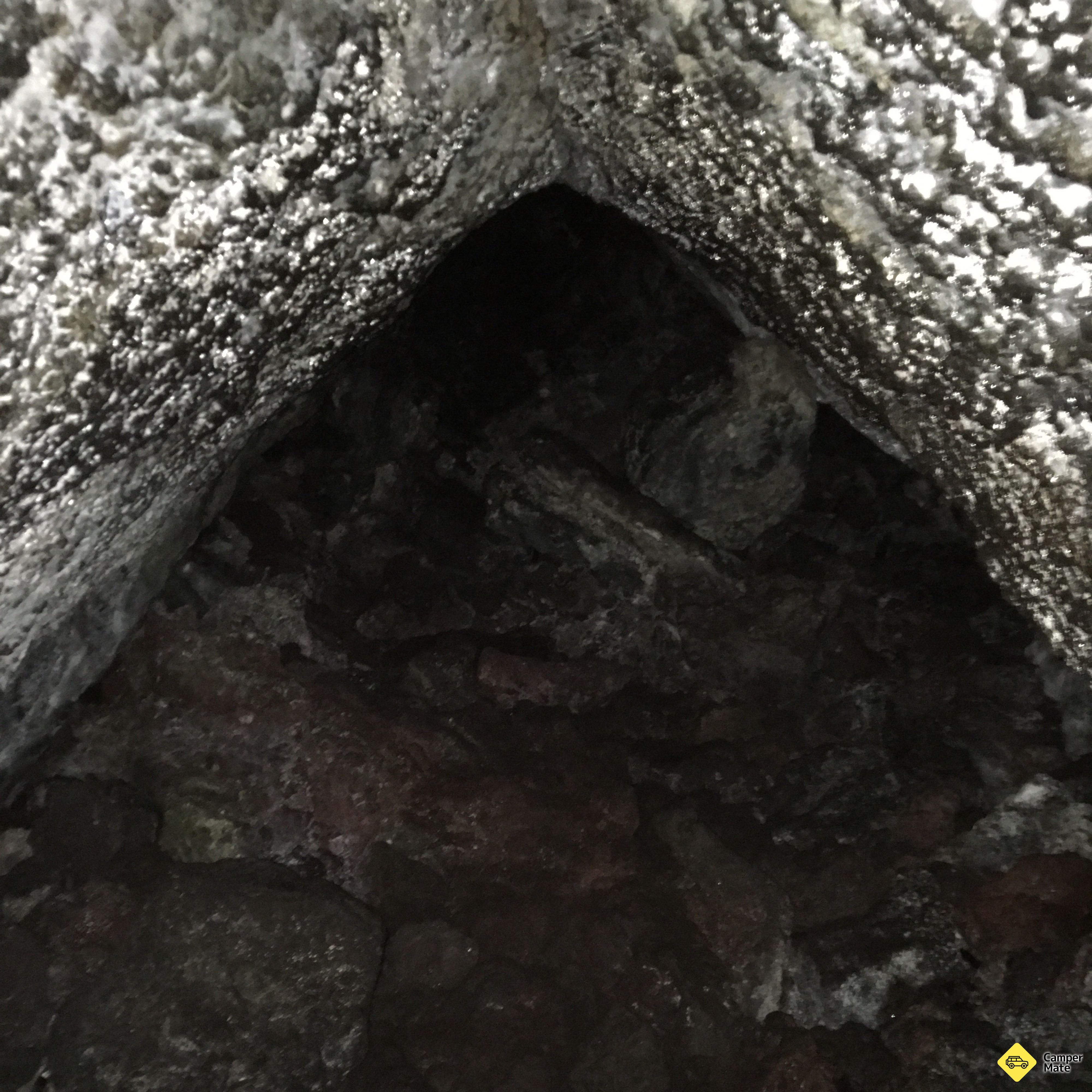 Lava Caves Rangitoto Island - Image 2