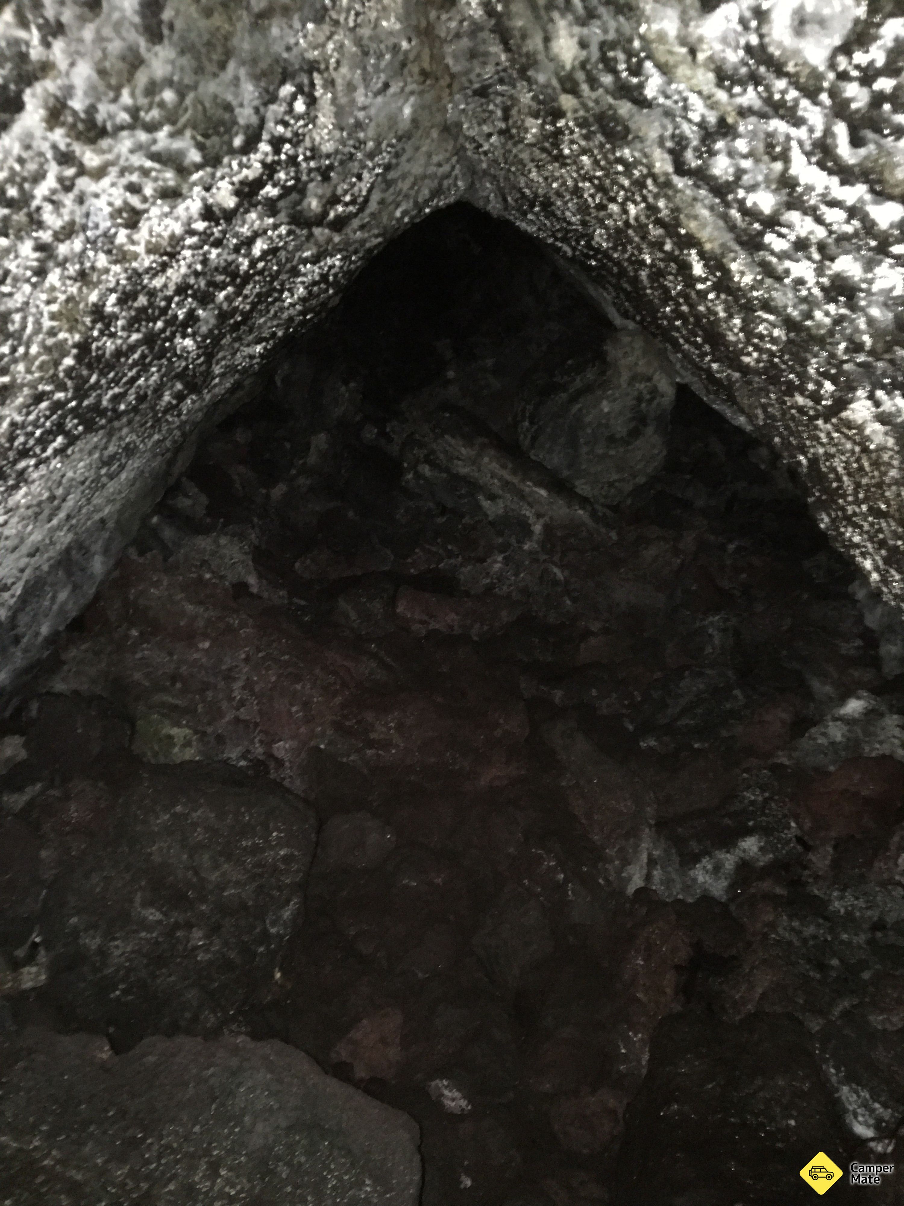 Lava Caves Rangitoto Island(ランジットートー島) - Image 2