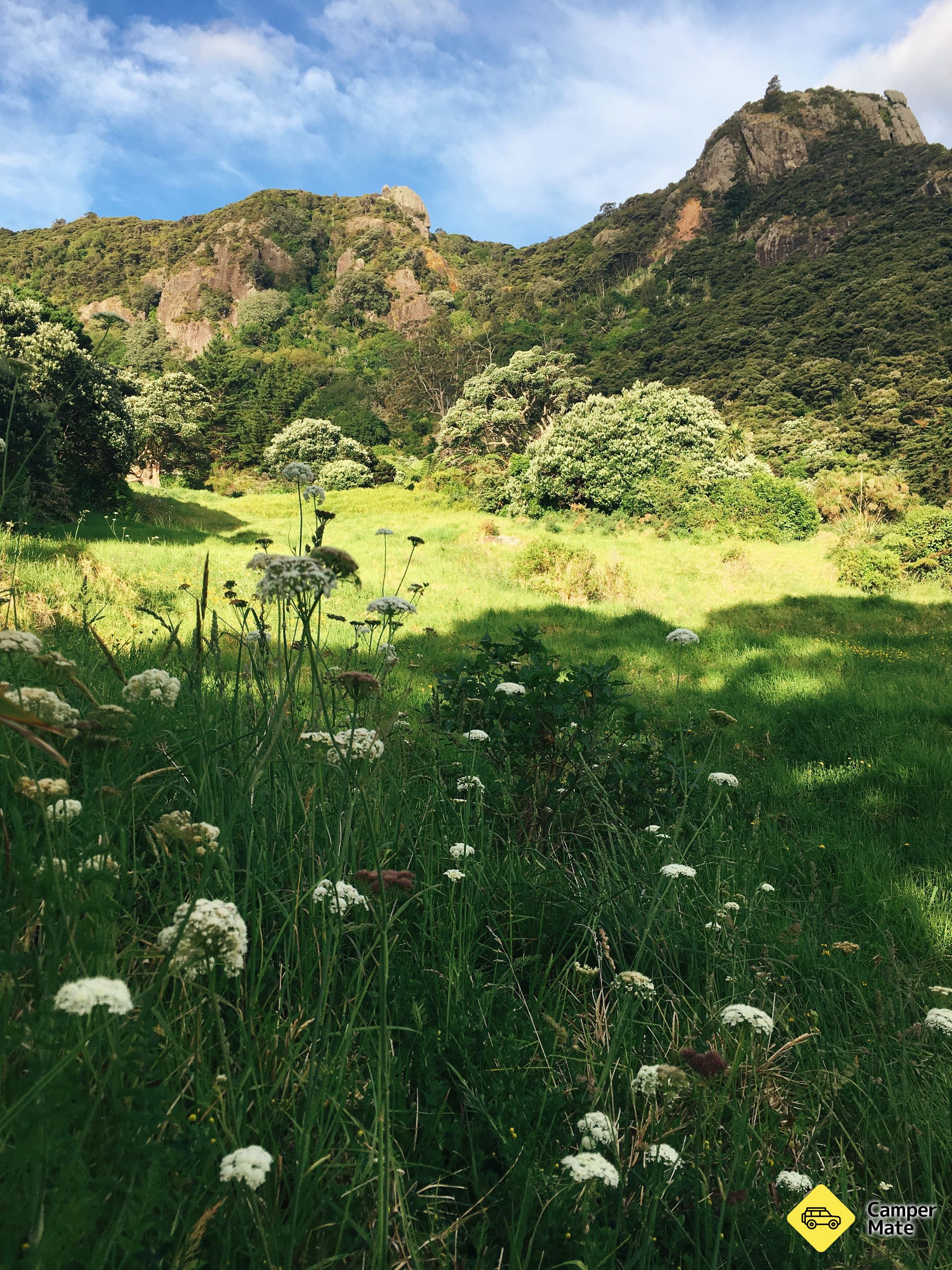 Reotahi - Image 2