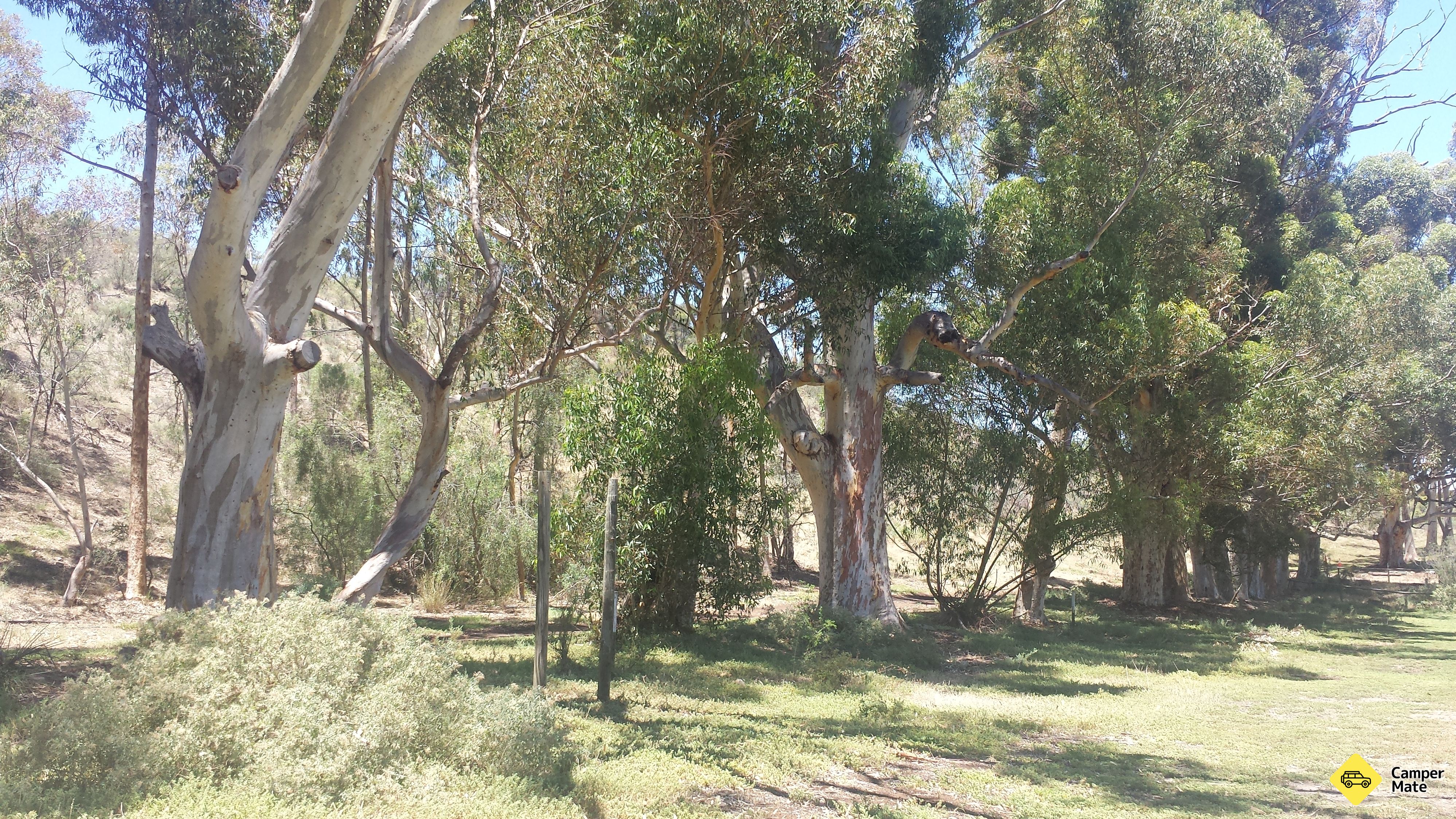 Campeggio Bowman Park