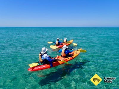 Turtle Tour by Sea Kayak and Snorkel Tour