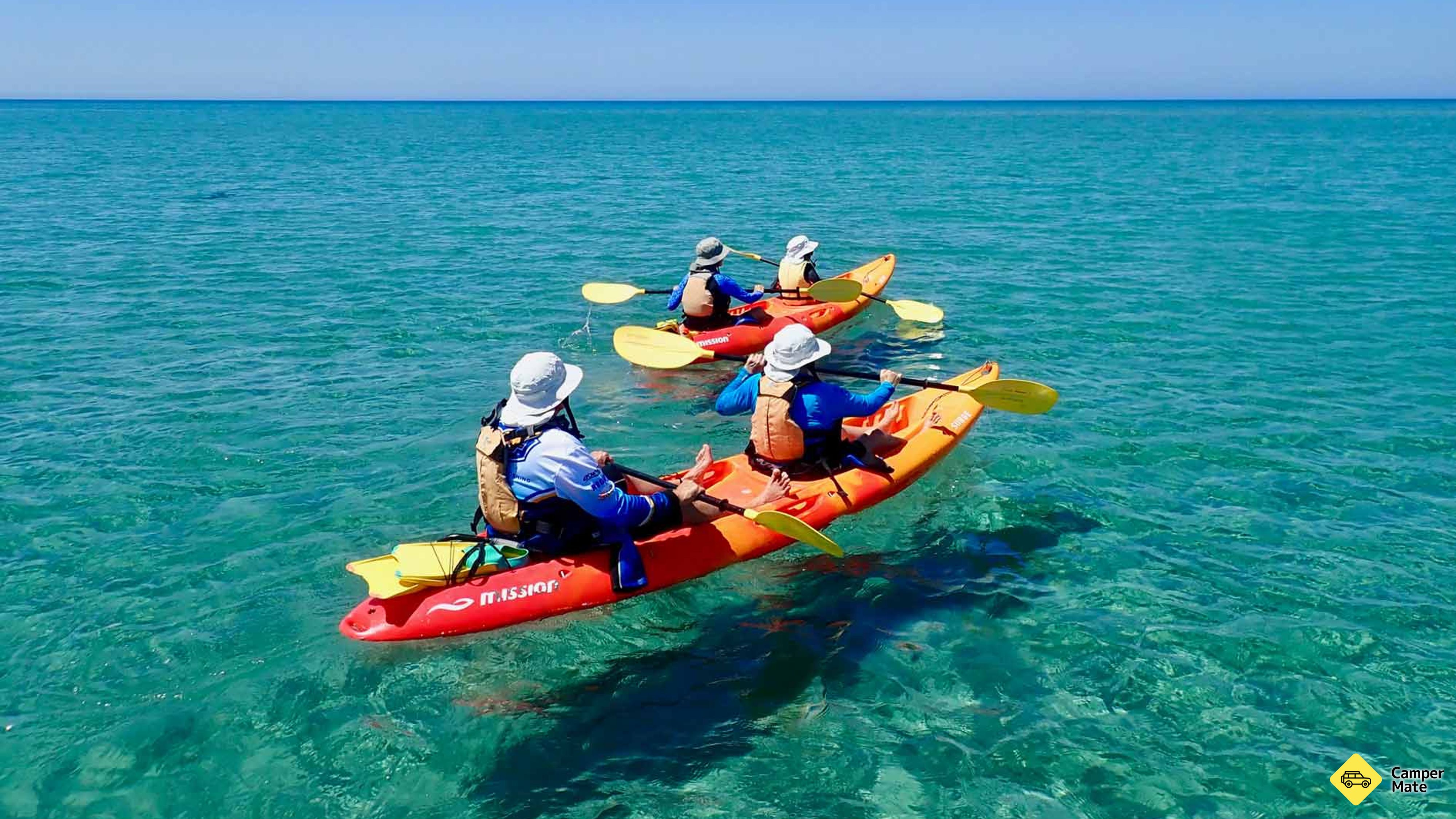 Tur Turtle by Sea Kayak dan Snorkel Tour