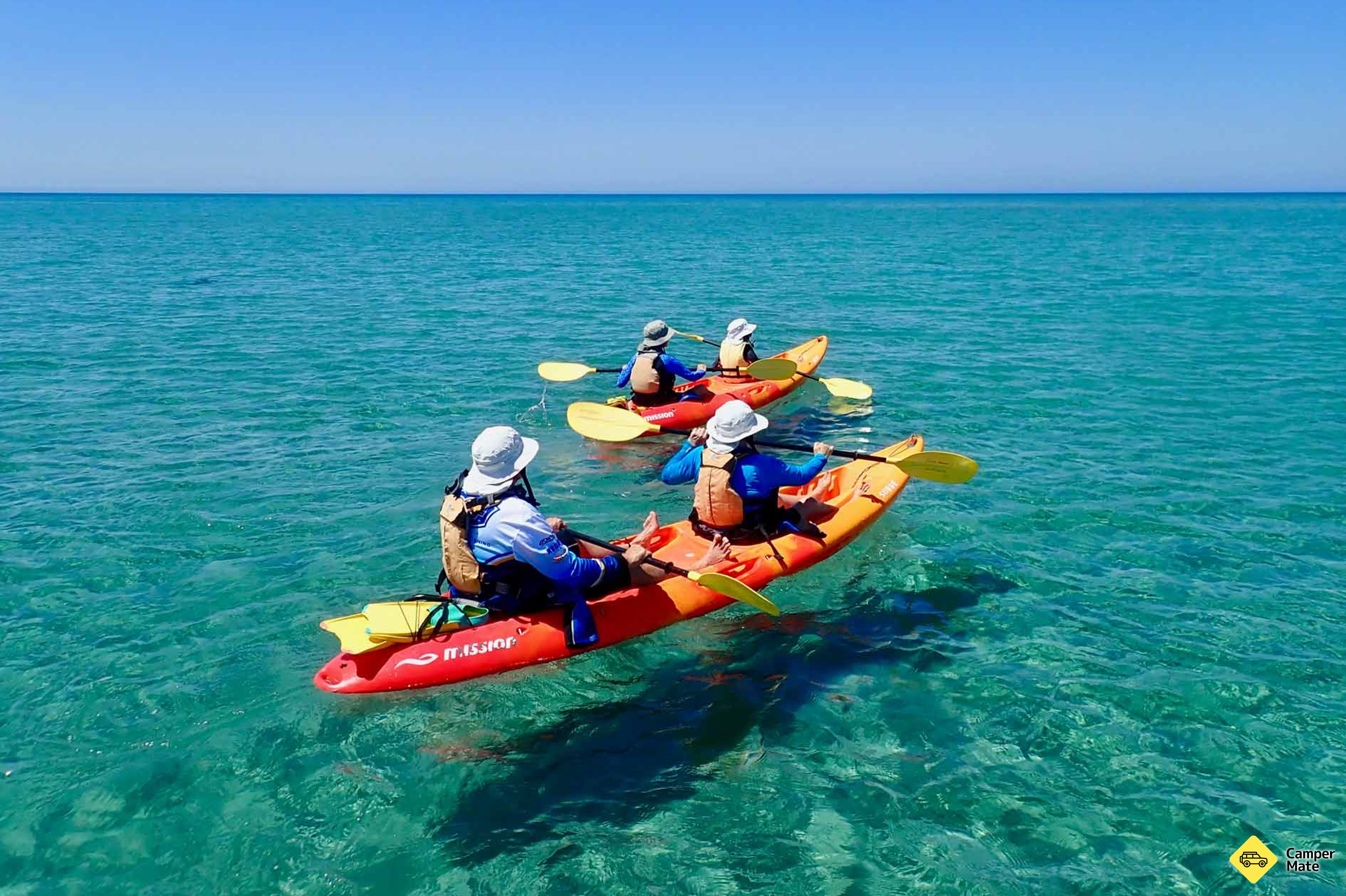Tur Turtle by Sea Kayak dan Snorkel Tour