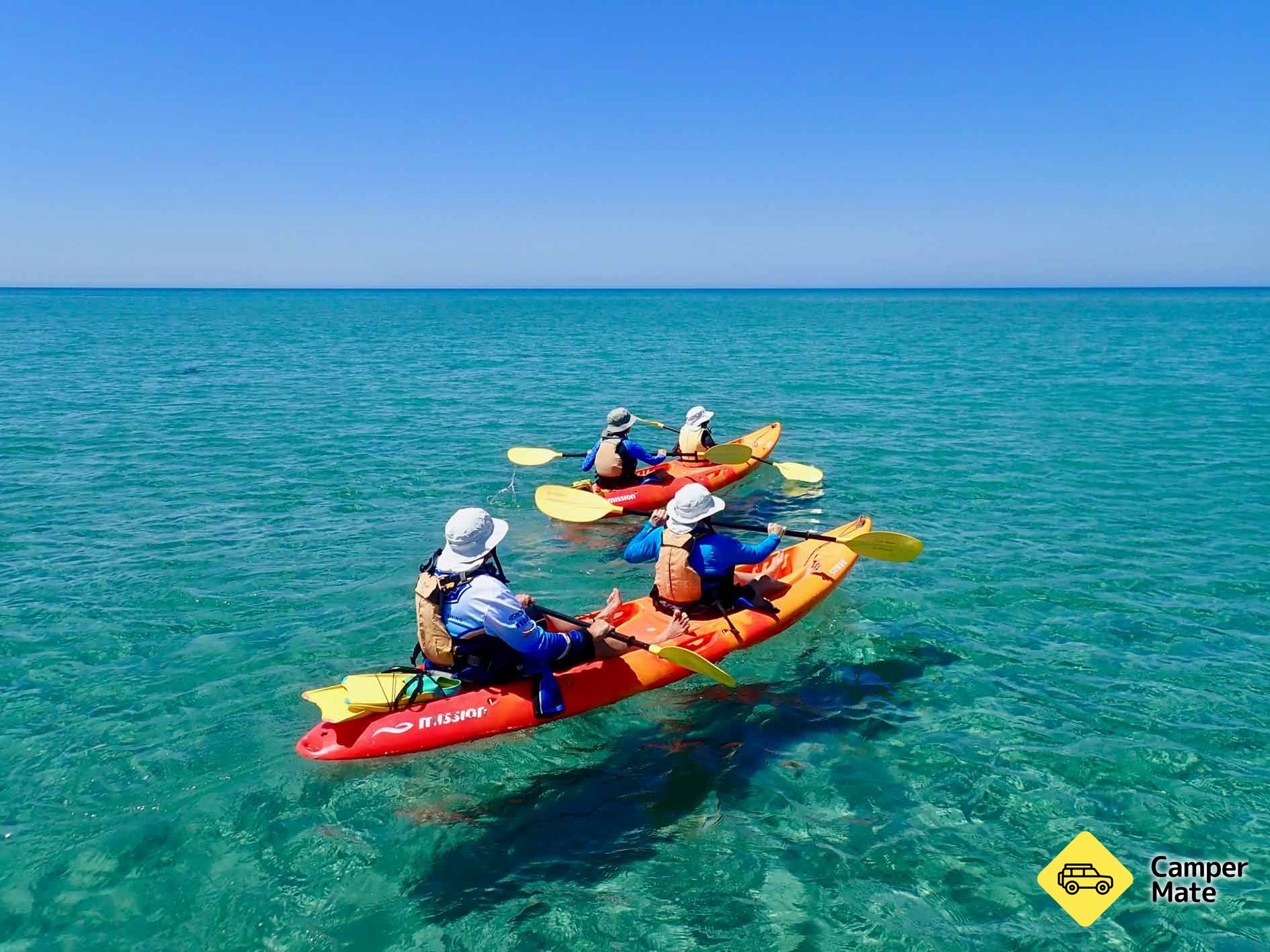 Turtle Tour by Sea Kayak and Snorkel Tour