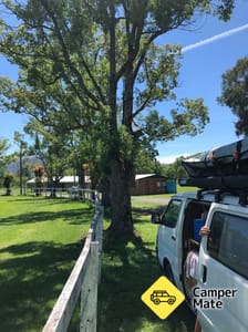 Ετικέτες Nimbin Showgrounds
