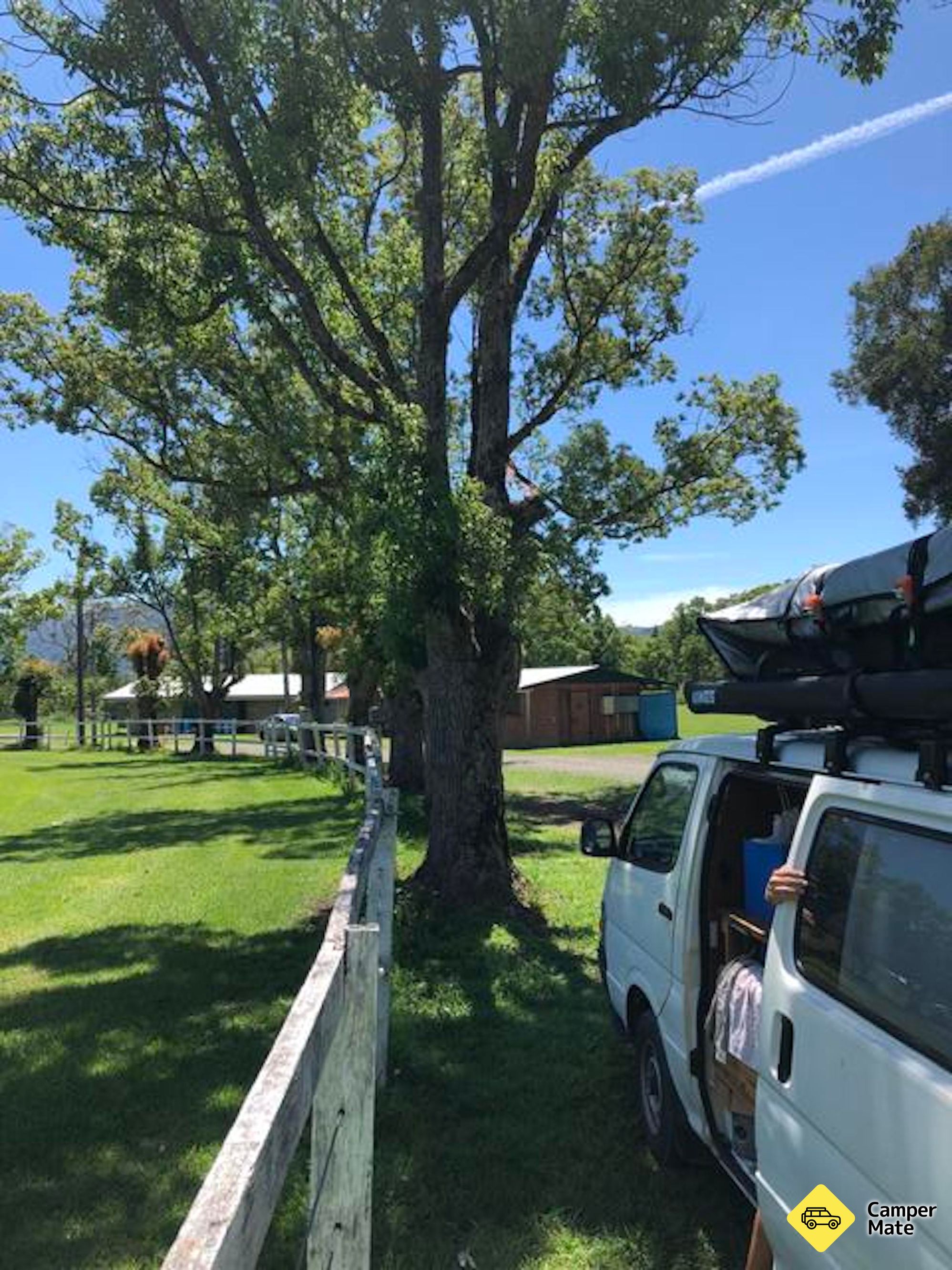 Nimbin udstillingssteder