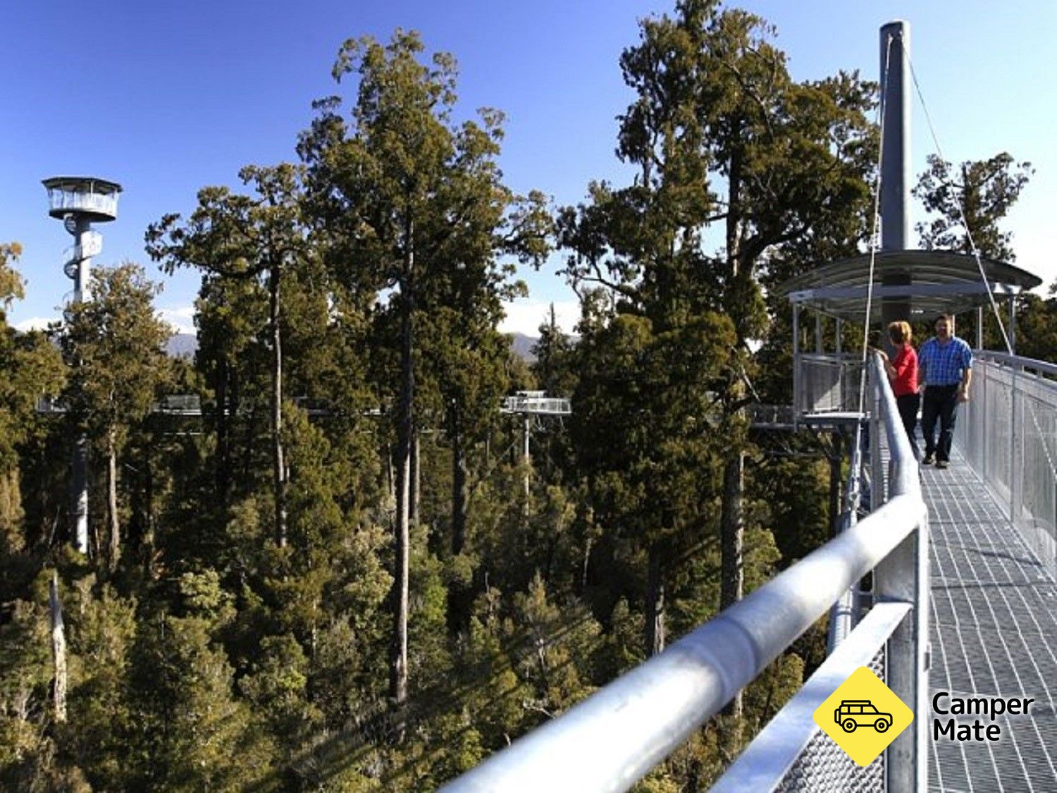 West Coast Treetop Walk, Cafe & Tower Zipline - Image 2