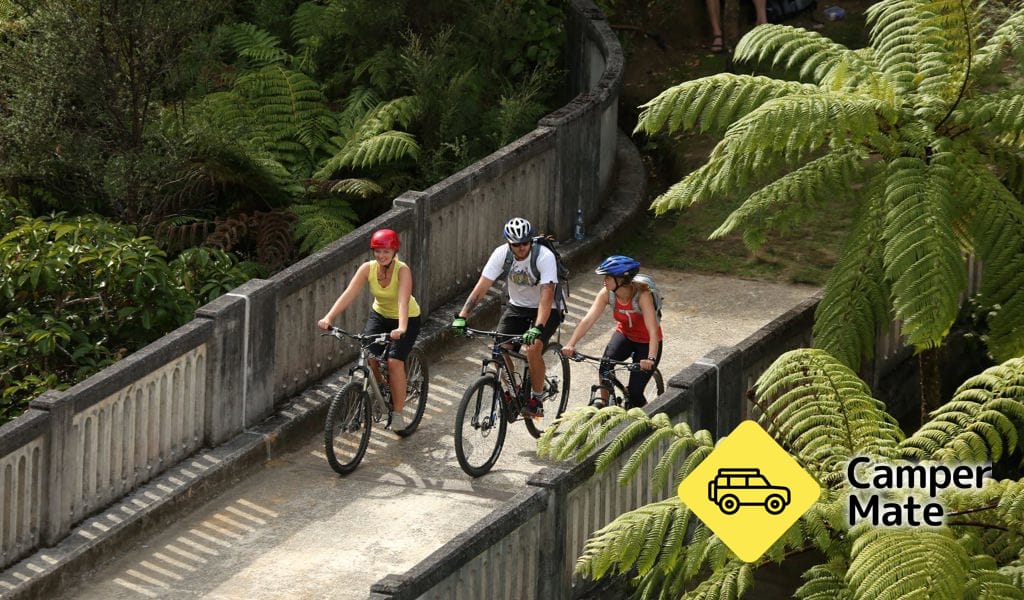 Un ponte da nessuna parte - Image 3
