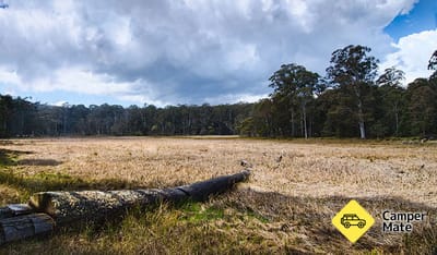 New Country Swamp Campground
