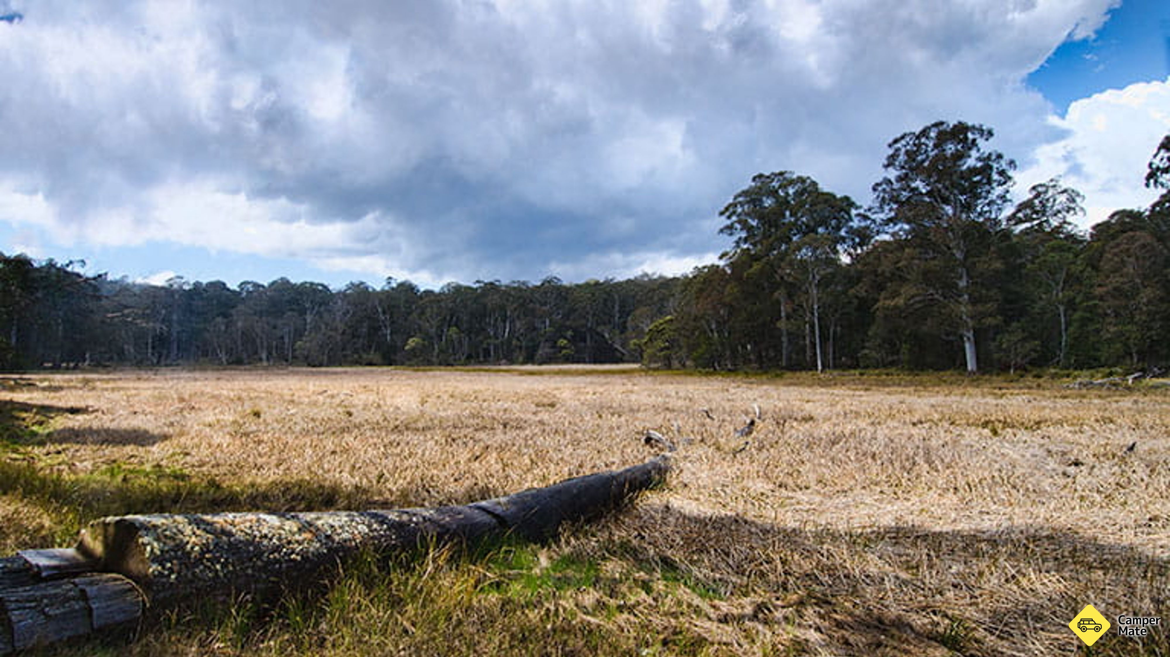 New Country Swamp Campground