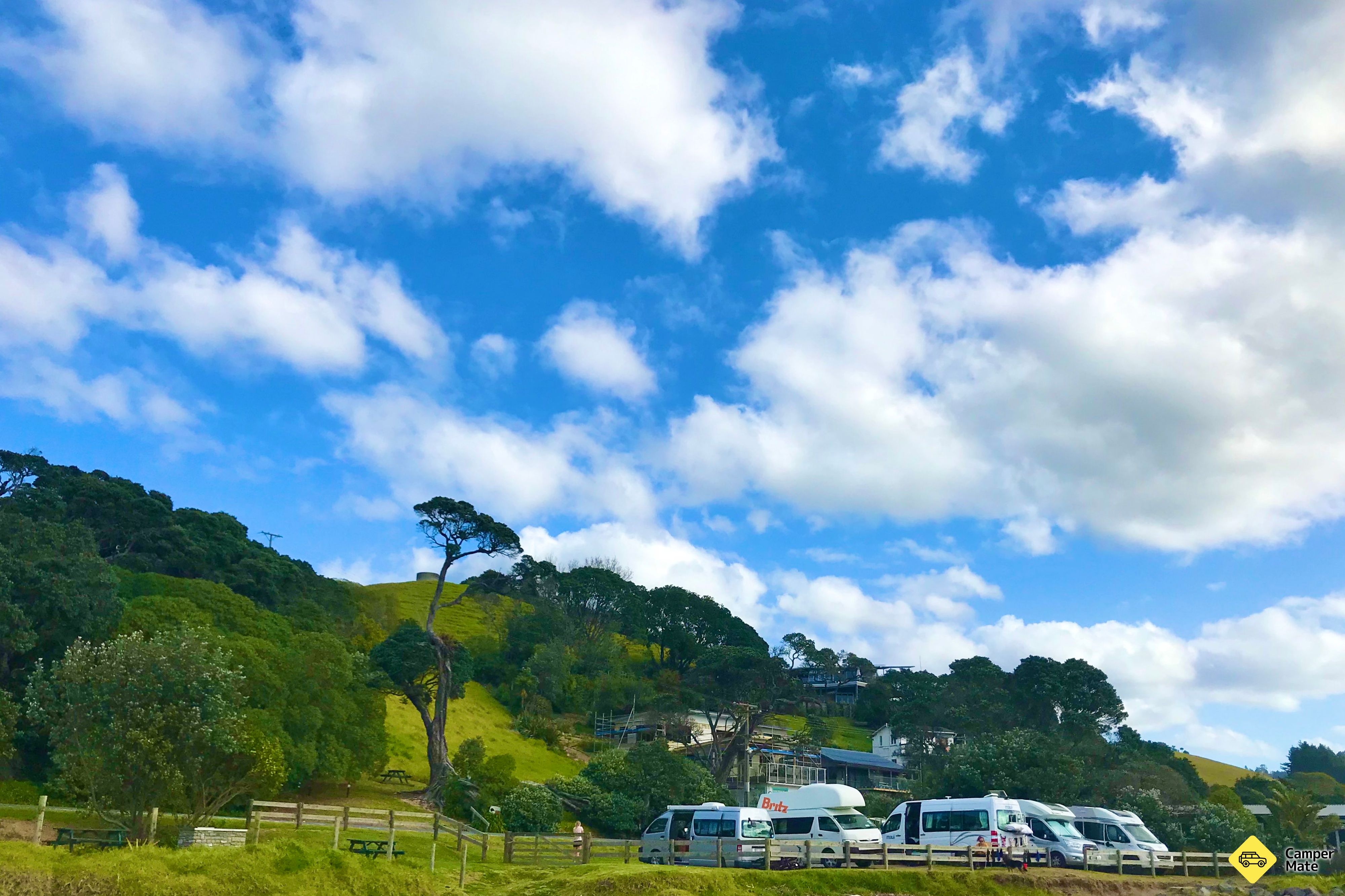 Sandy Bay Freedom Camping Area - Image 3