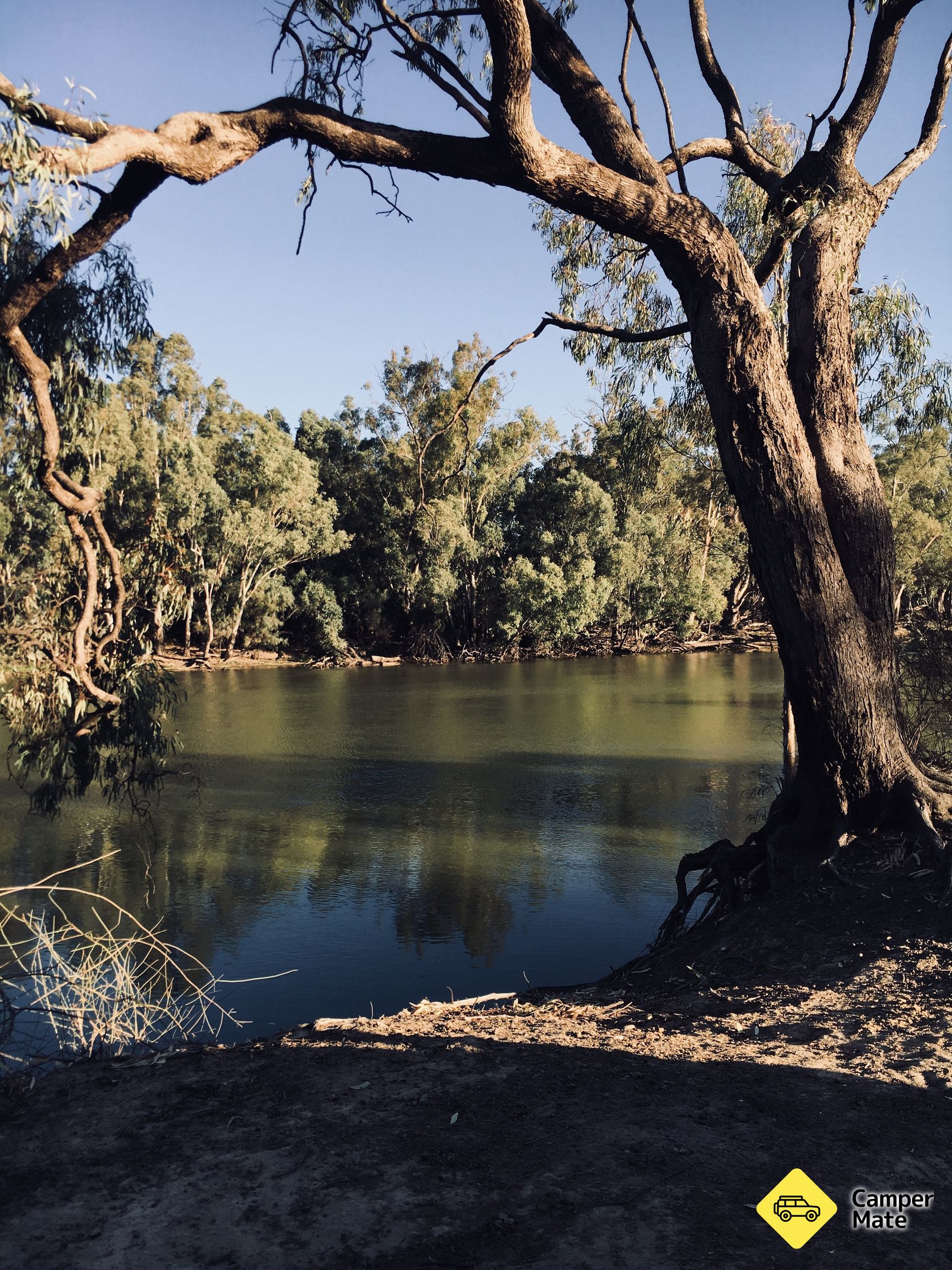 Beggs Bend Estado Forest Camp Area