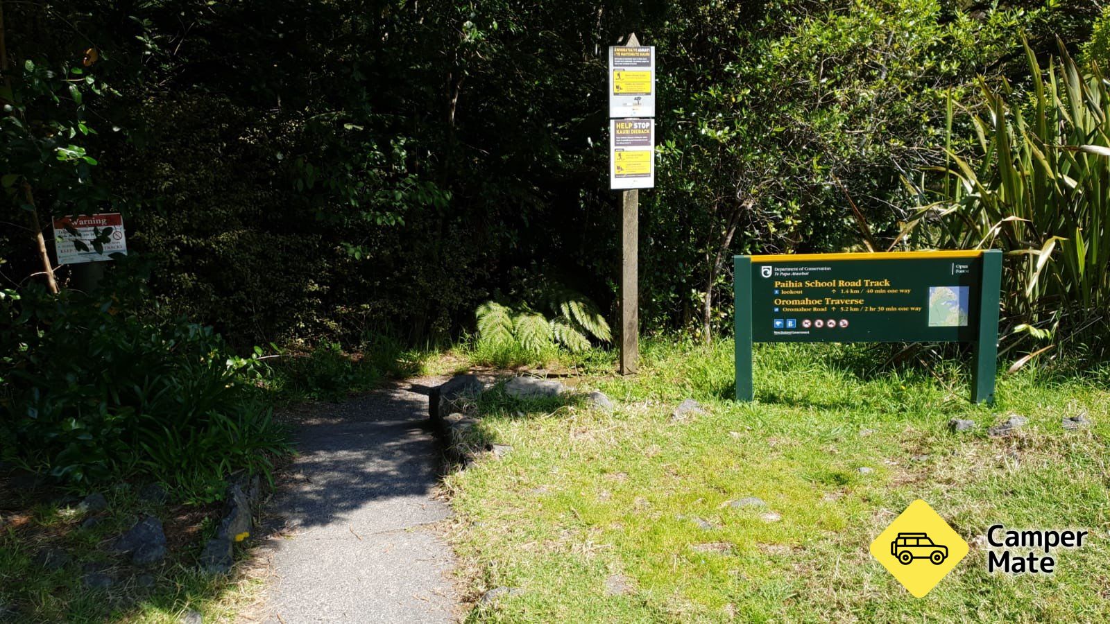 Opua Forest Paihia Lookout Track