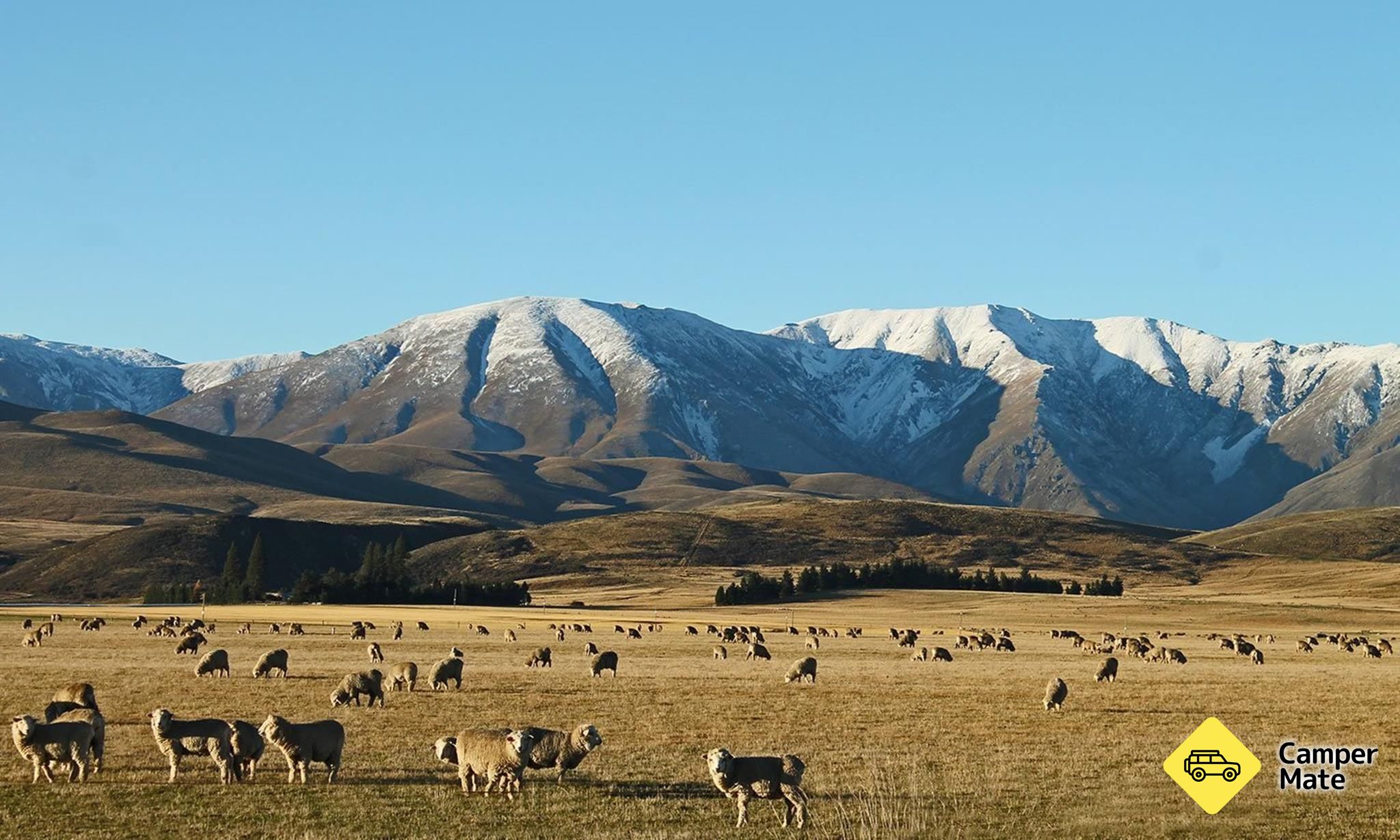 Ranfurly Holiday Park and Motels - Image 2