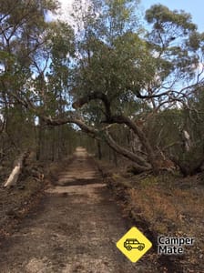 Area di riposo Tailem Bend South