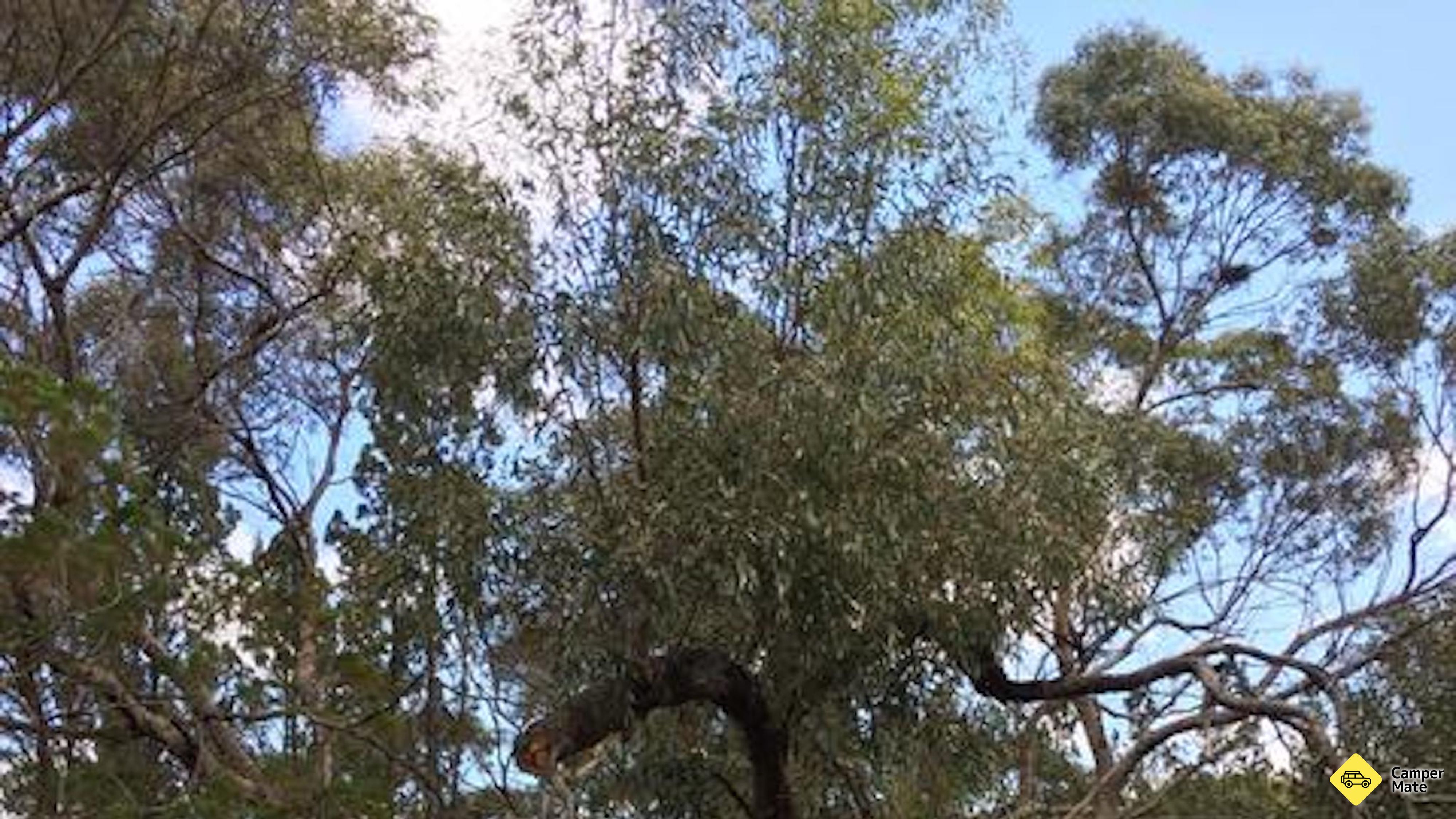 Area di riposo Tailem Bend South