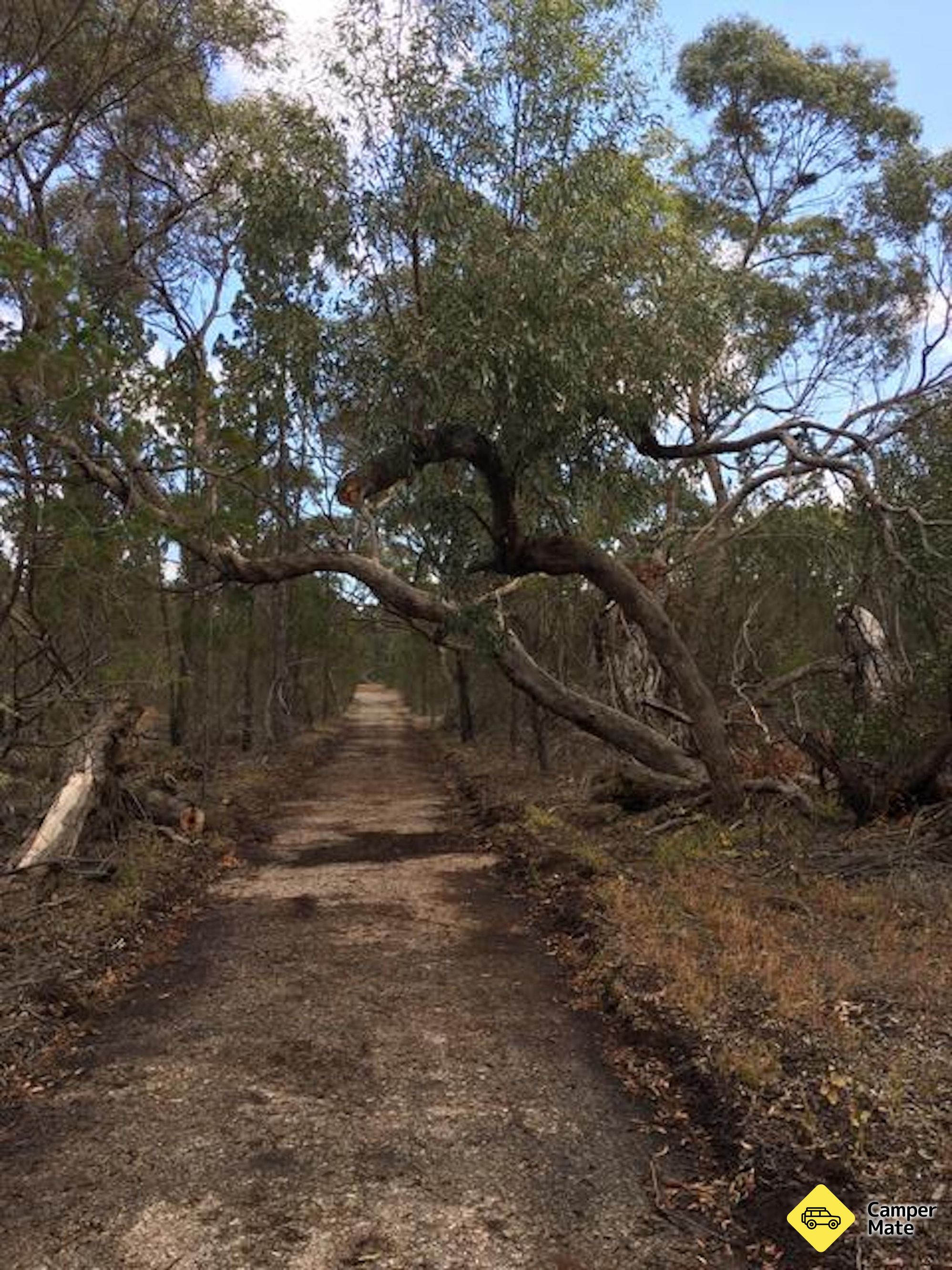 Area di riposo Tailem Bend South