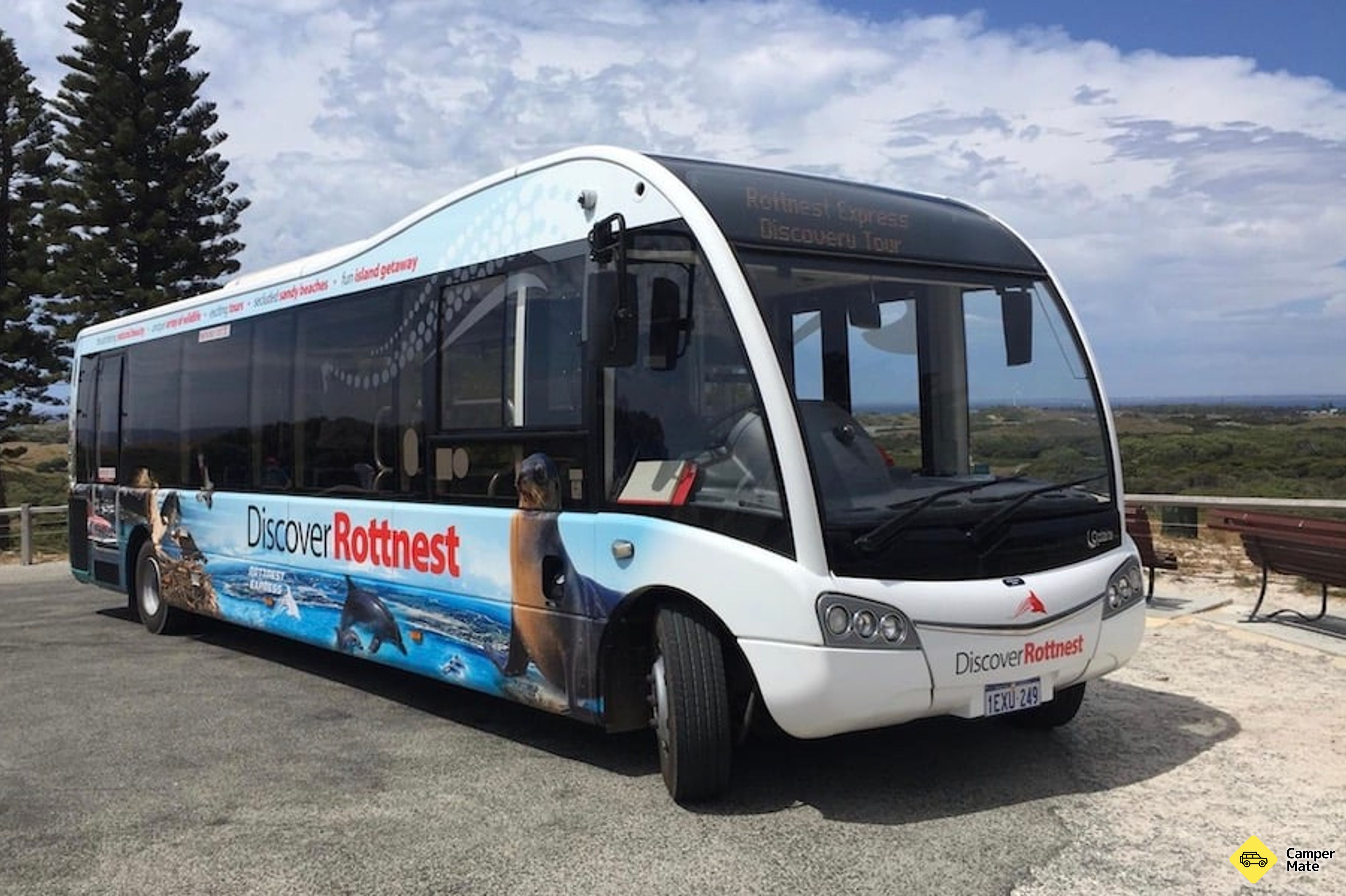 Excursion d'une journée à Rottnest Island - Image 2
