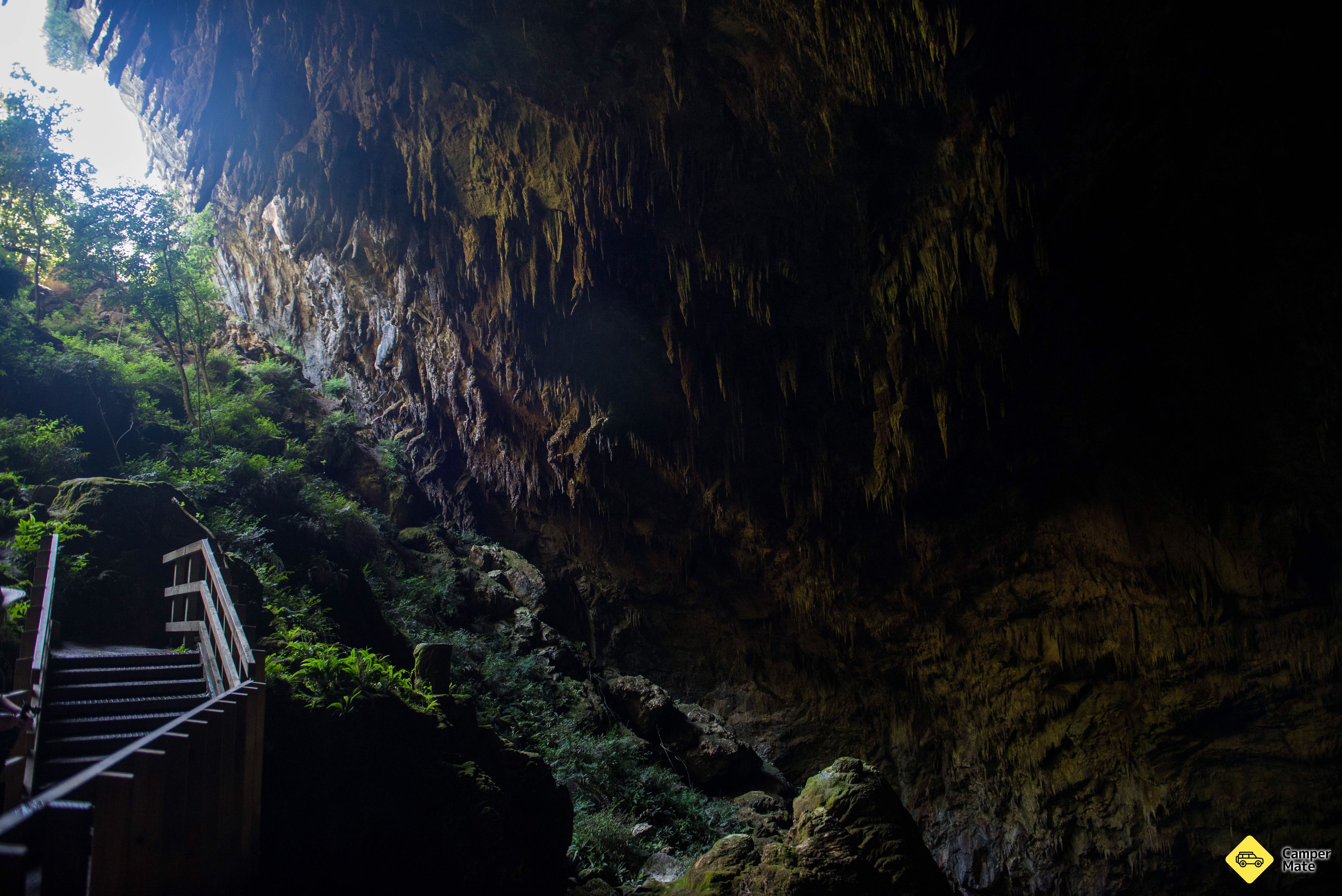 Rawhiti Cave - Image 2