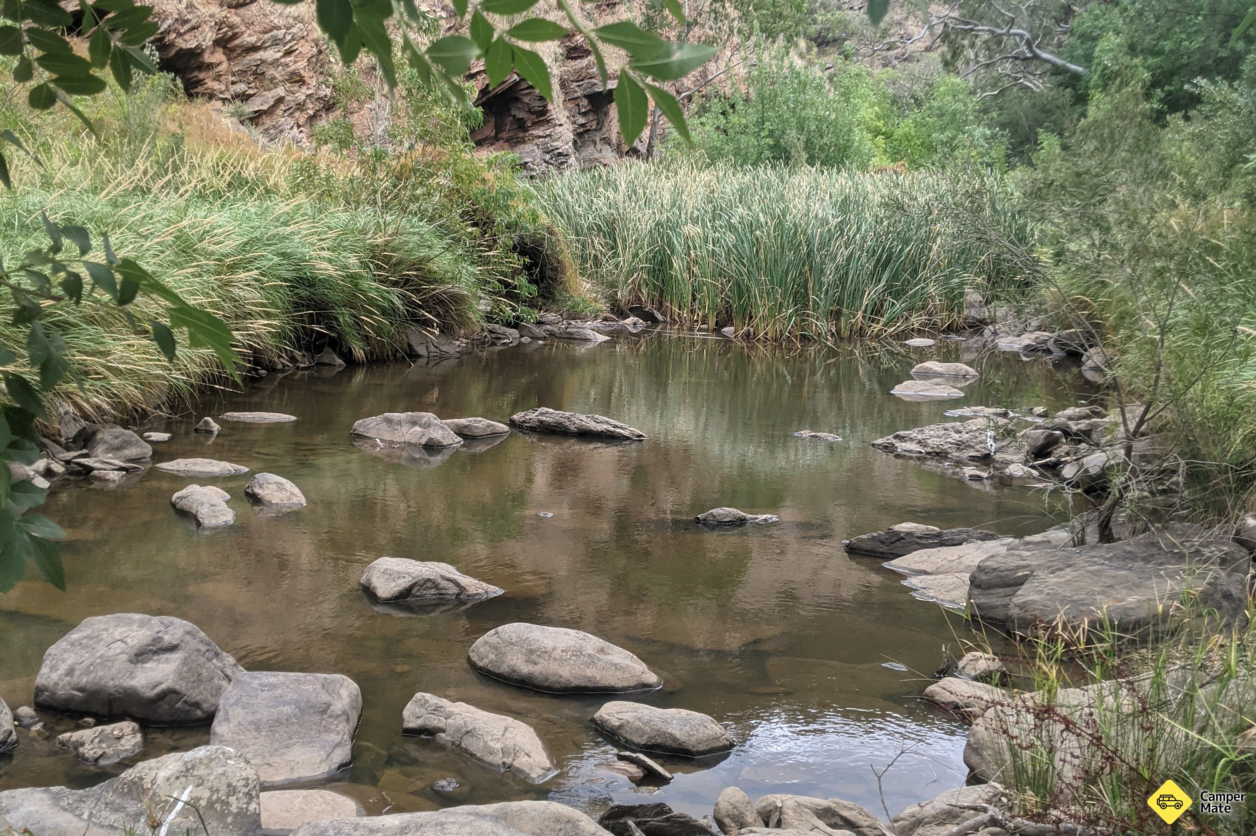 Pink Gum Camp Ground - Image 3