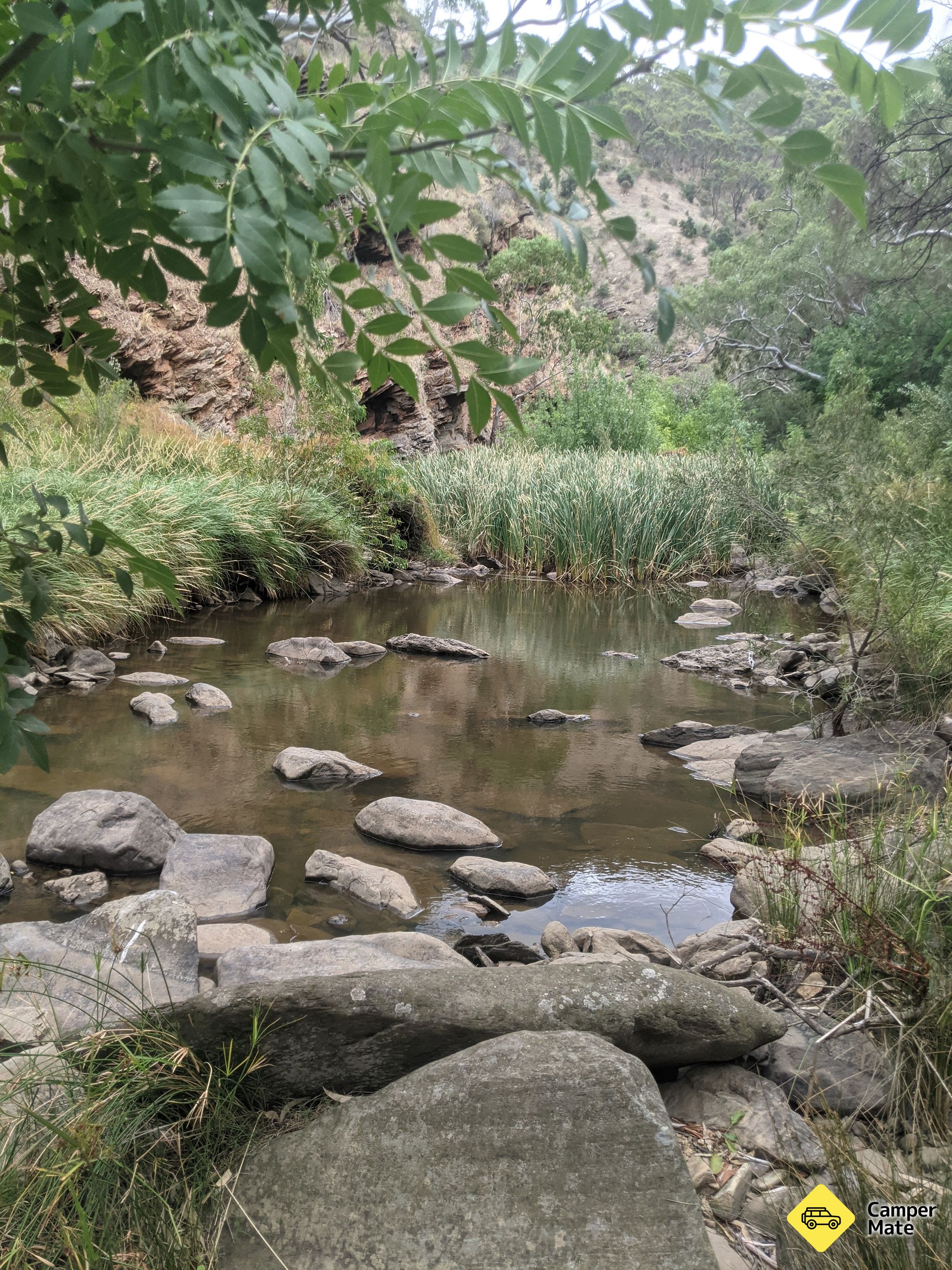 Pink Gum Camp Ground - Image 3