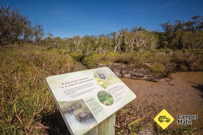 Freshwater Creek track -  Byfield National Park