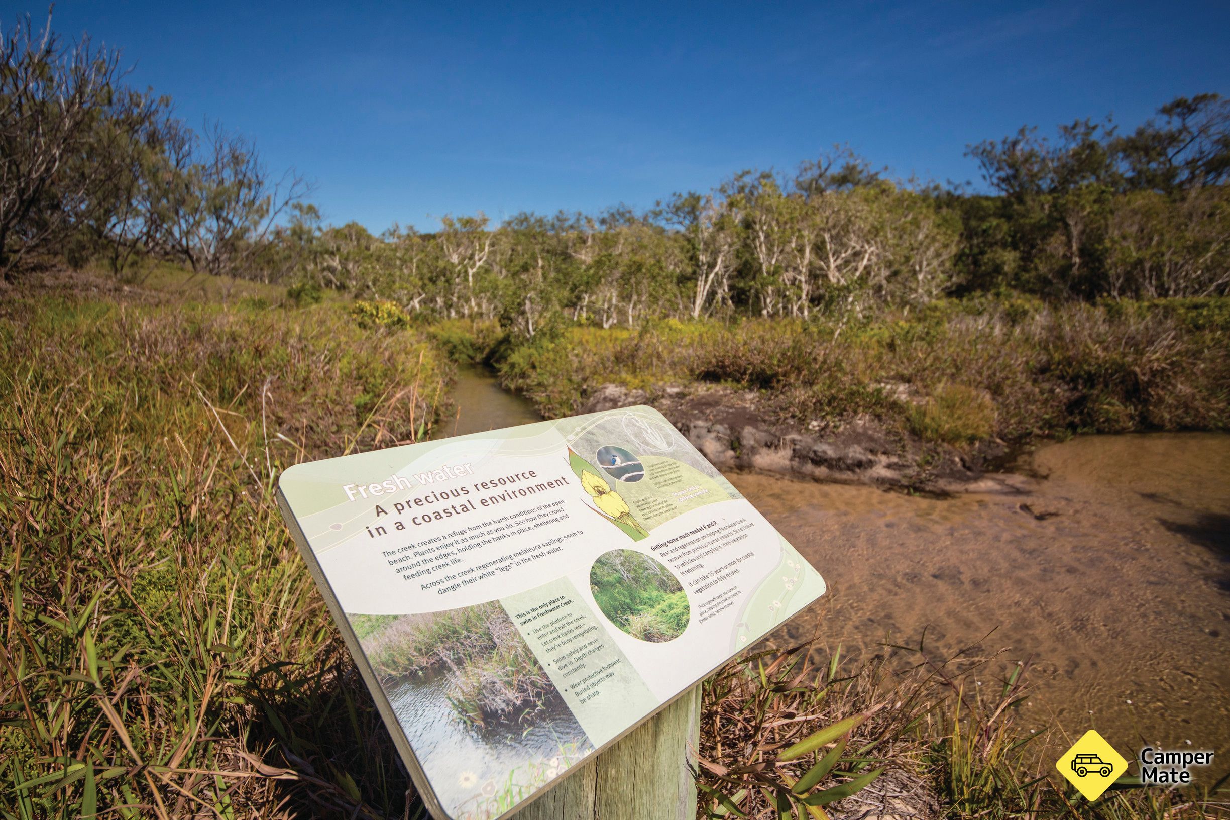 Freshwater Creek track -  Byfield National Park
