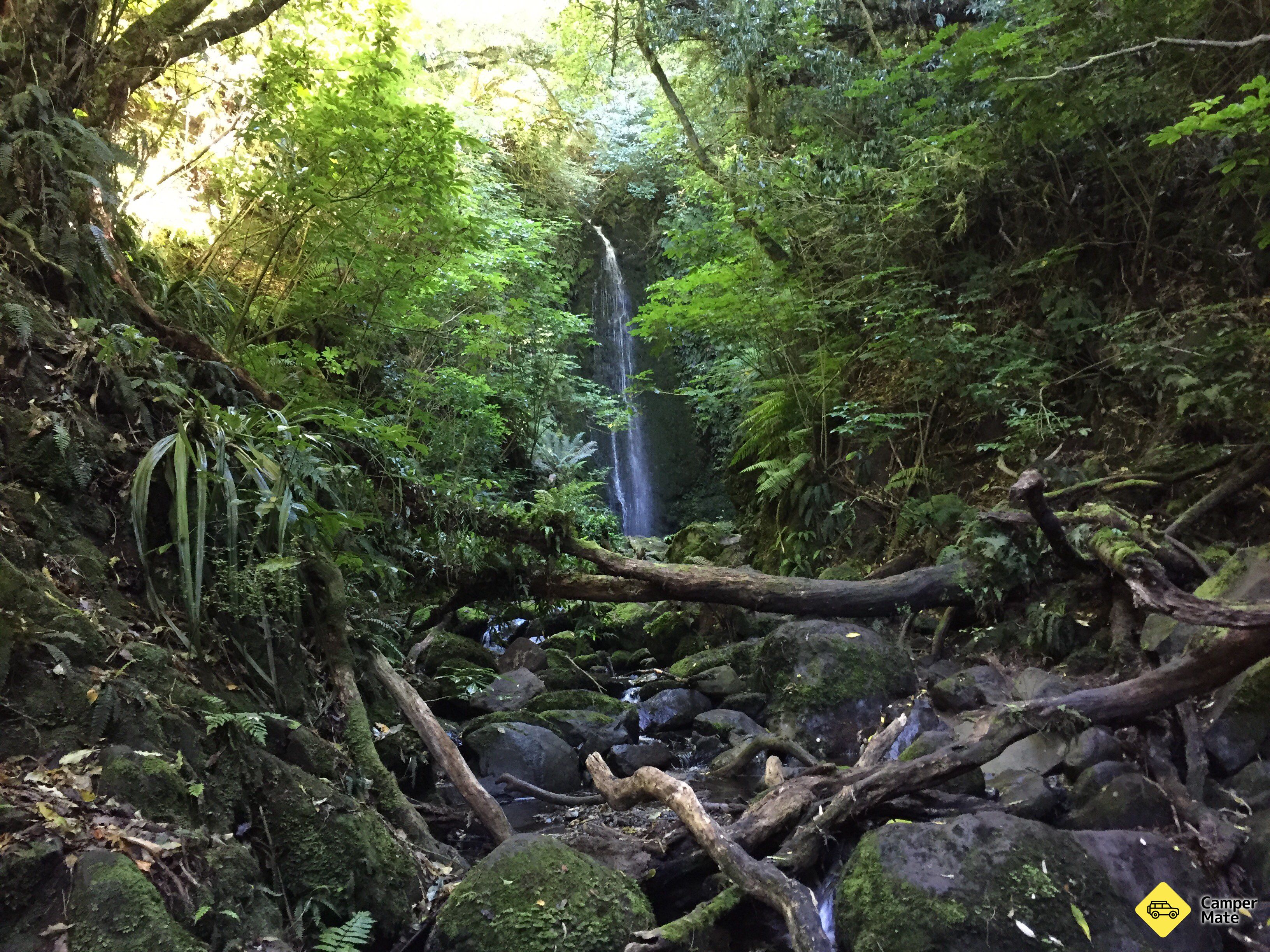 Glow Worm Cave & Waterfall - Image 2