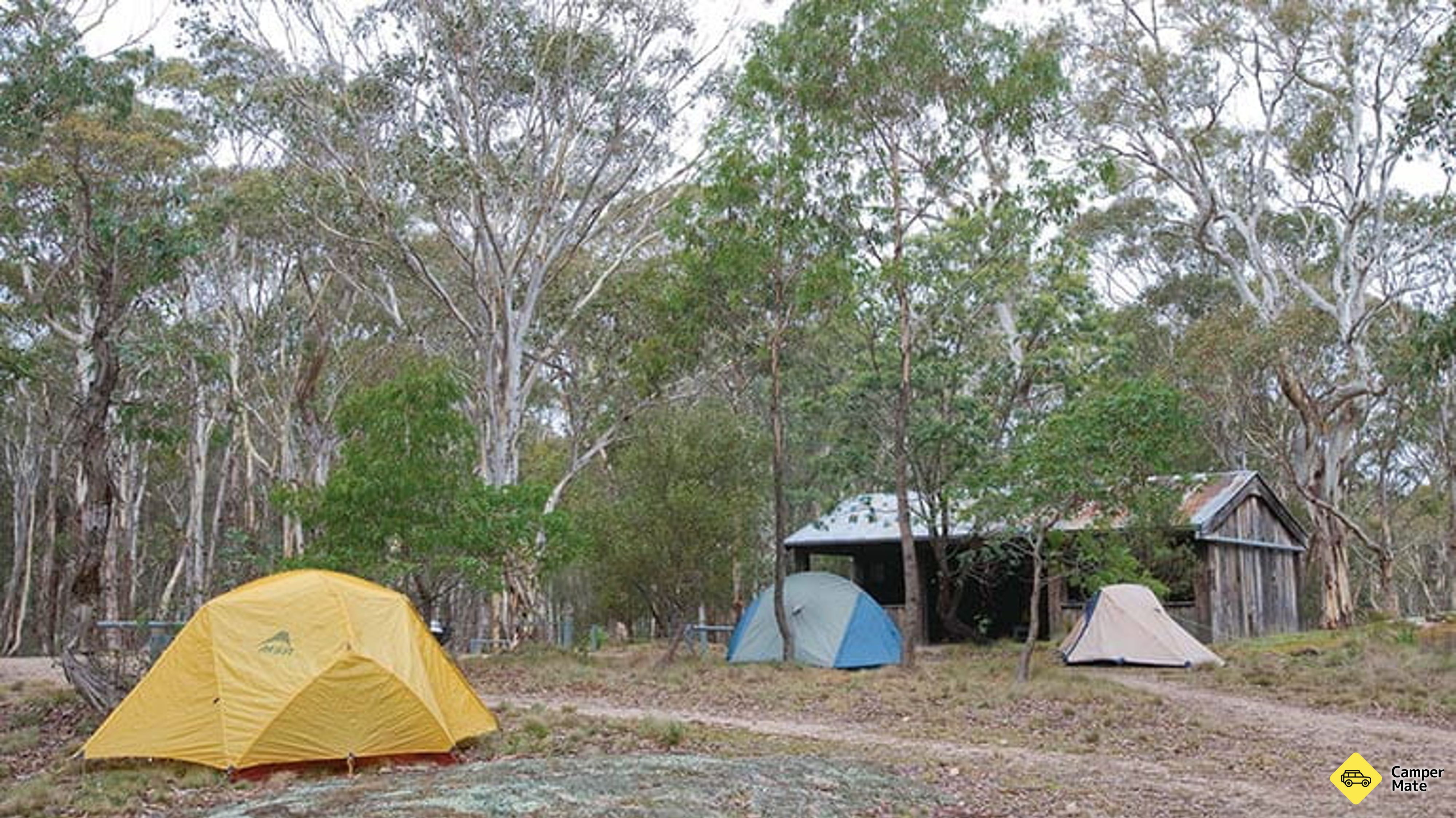 Campamento del río Boyd