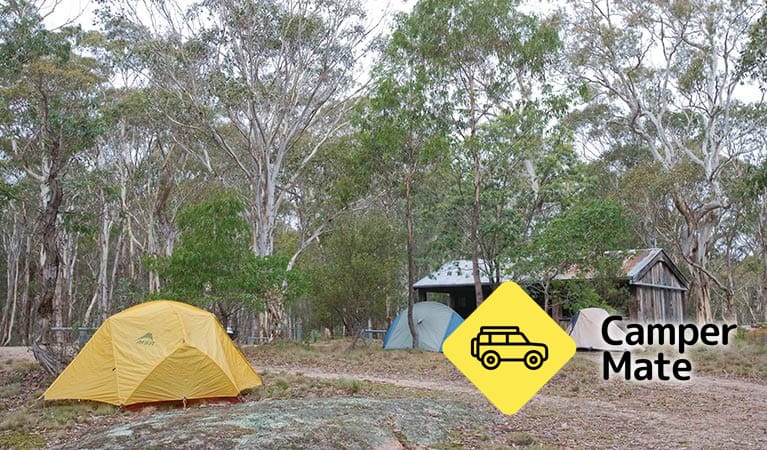 Boyd River Campground, Blue Mountains, New South Wales, Australia ...