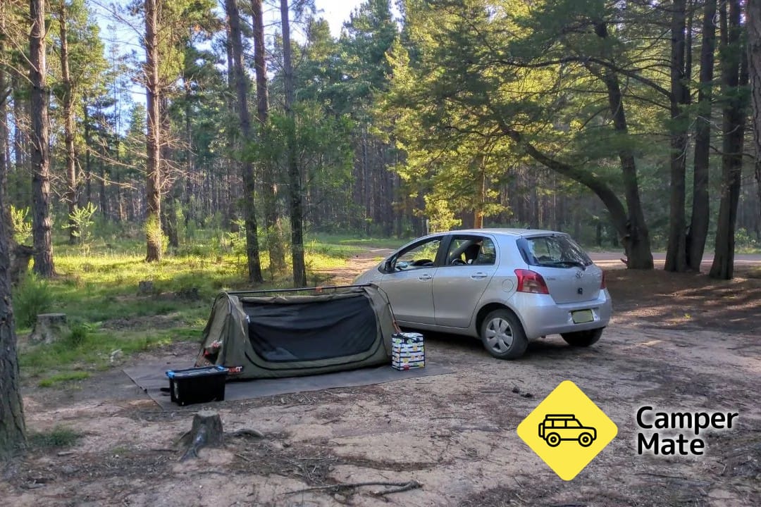 Dalys Clearing Campground in het Belanglo State Forest - Image 2