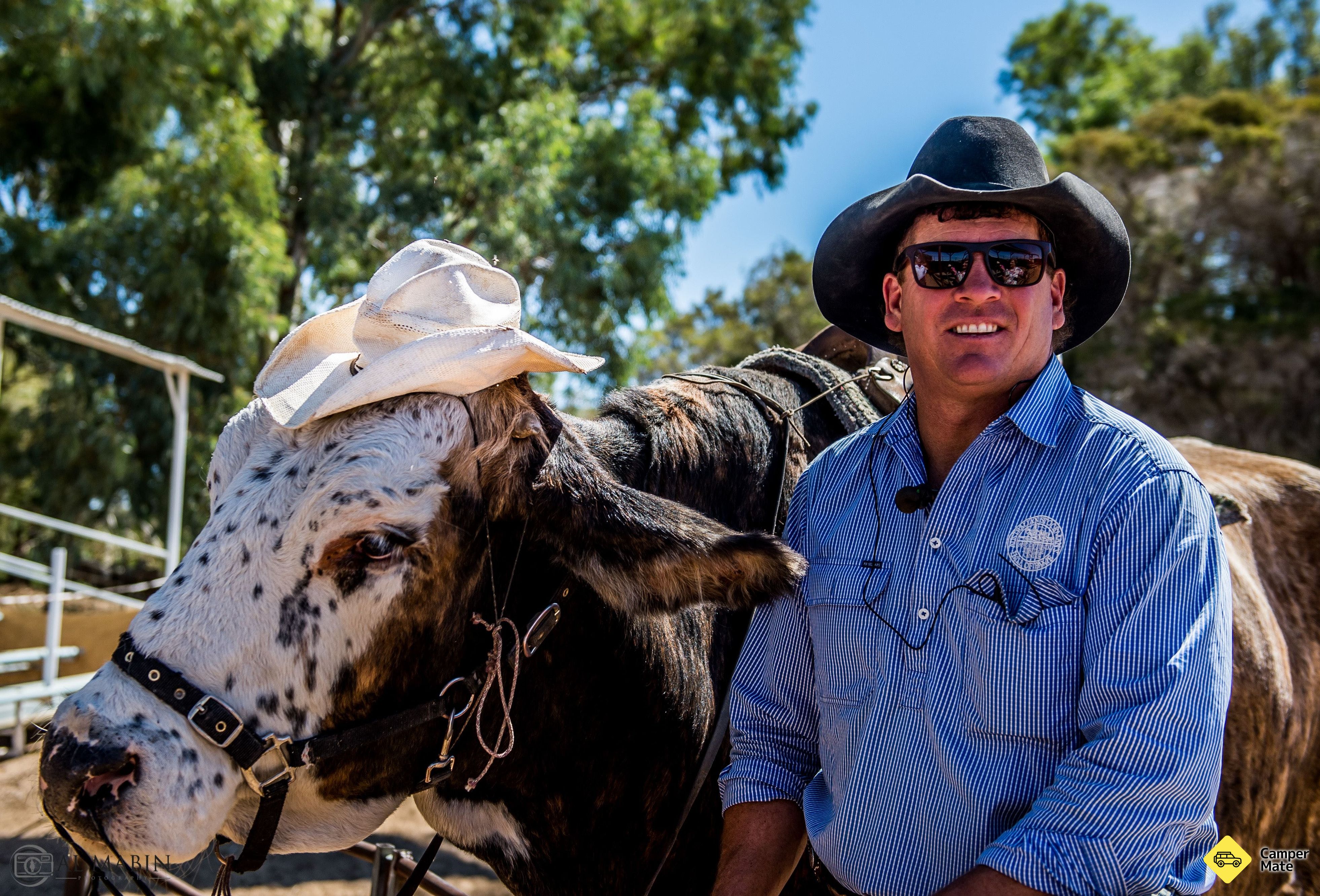 Restaurantes perto de Australian Stockmans Hall of Fame and Outback Heritage Centre - Image 3