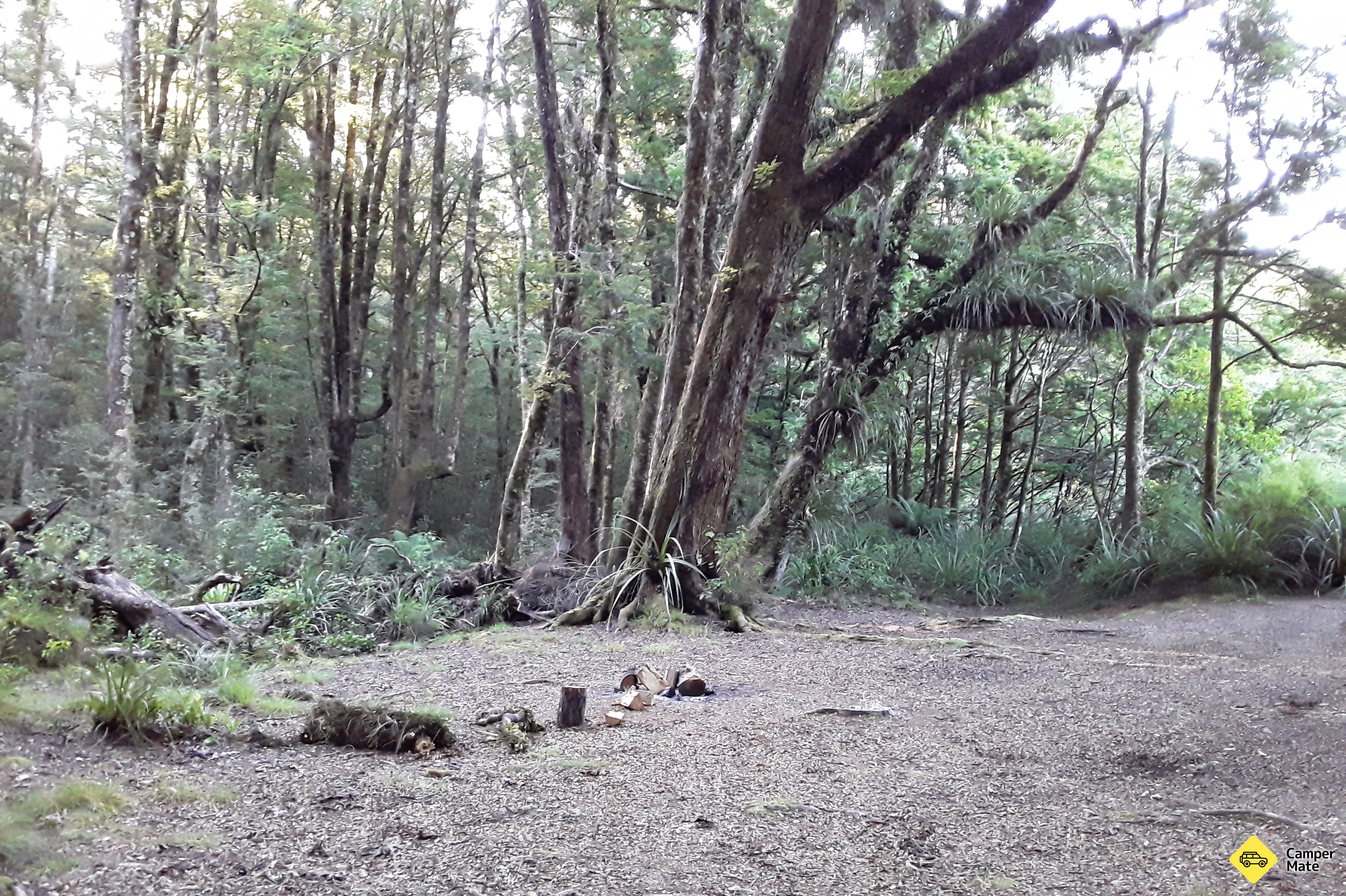 Clements Clearing Campsite