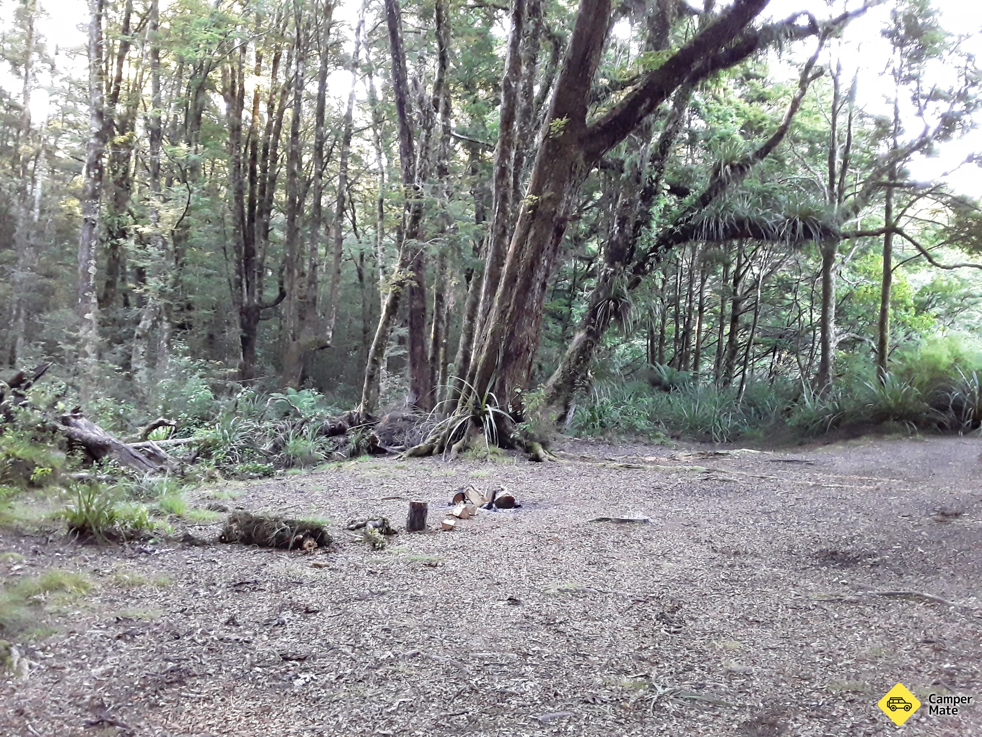 Clements Clearing Campsite