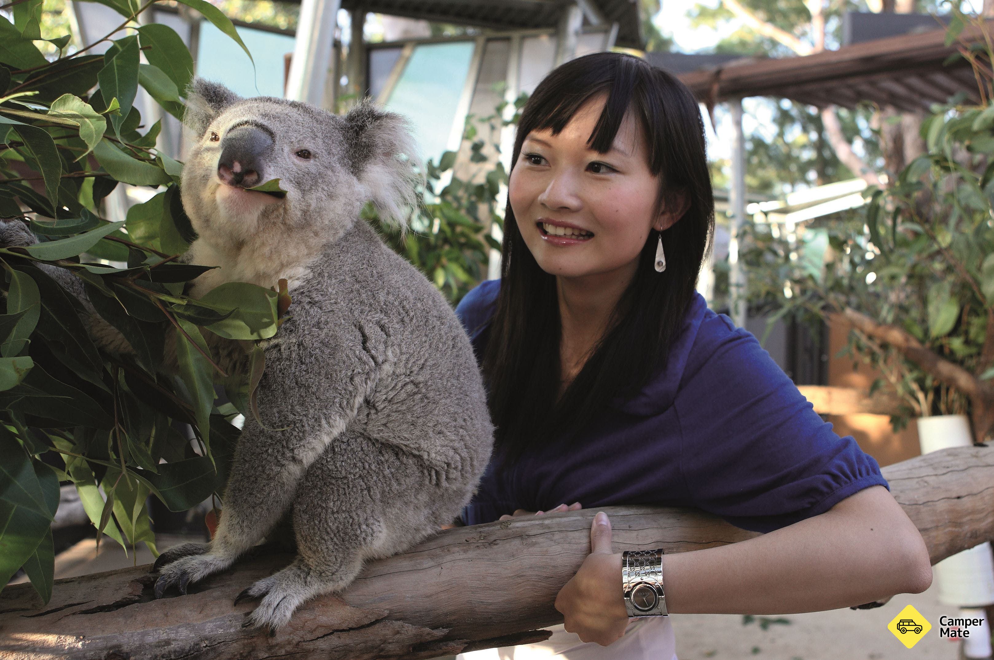 El zoológico de Taronga - Image 3