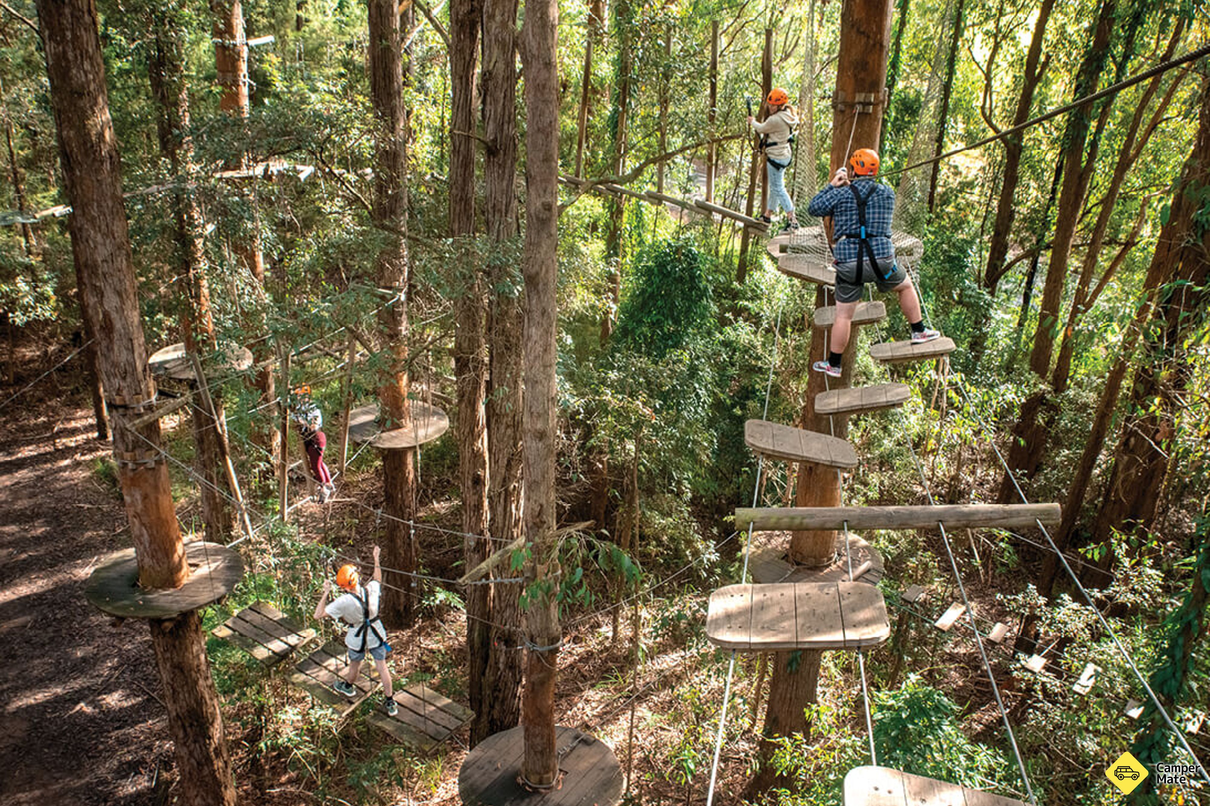 Aktivitäten in der Nähe von Treetops Adventure Central Coast - Image 2