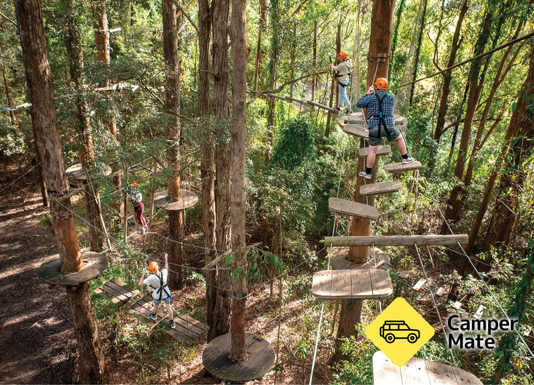 Treetops Adventure Central Coast - Image 2