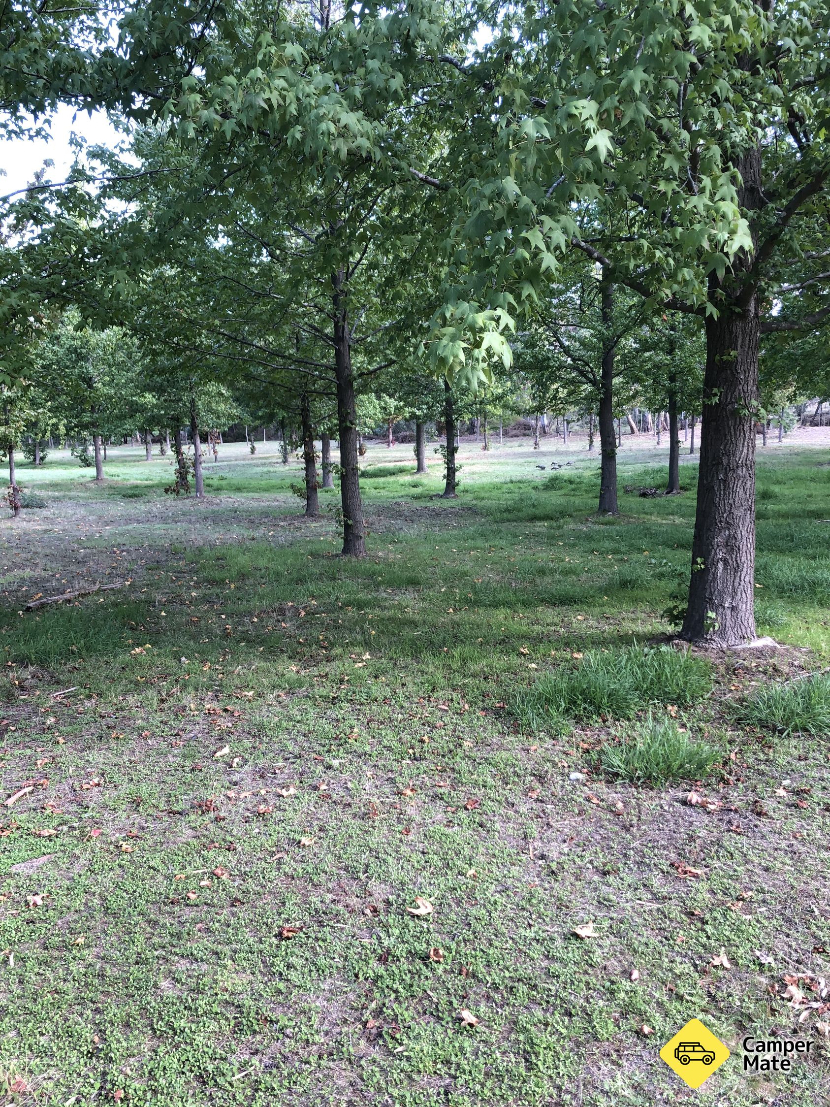 Zona de descanso de Heathcote